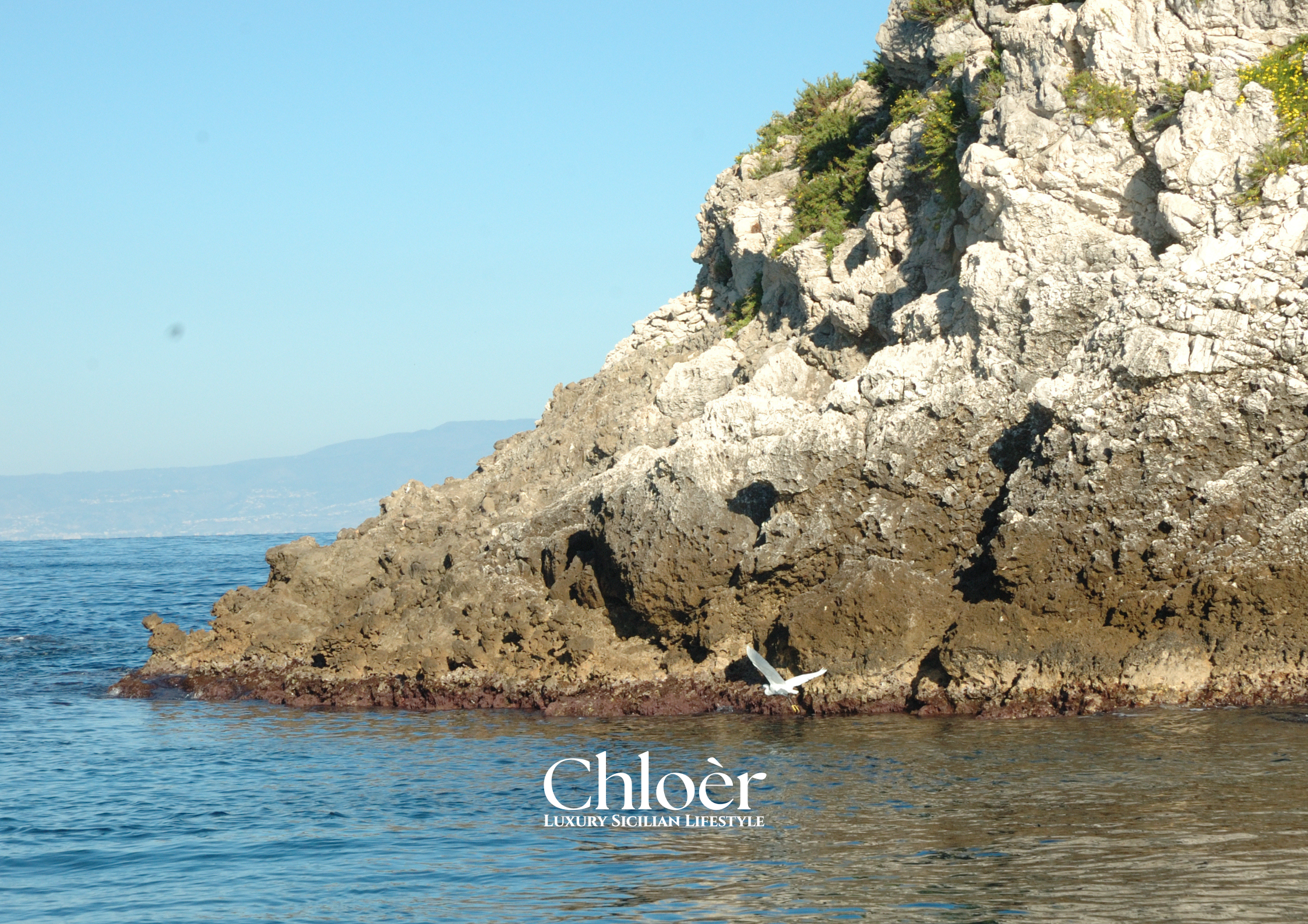 Progetto senza titolo(39).png