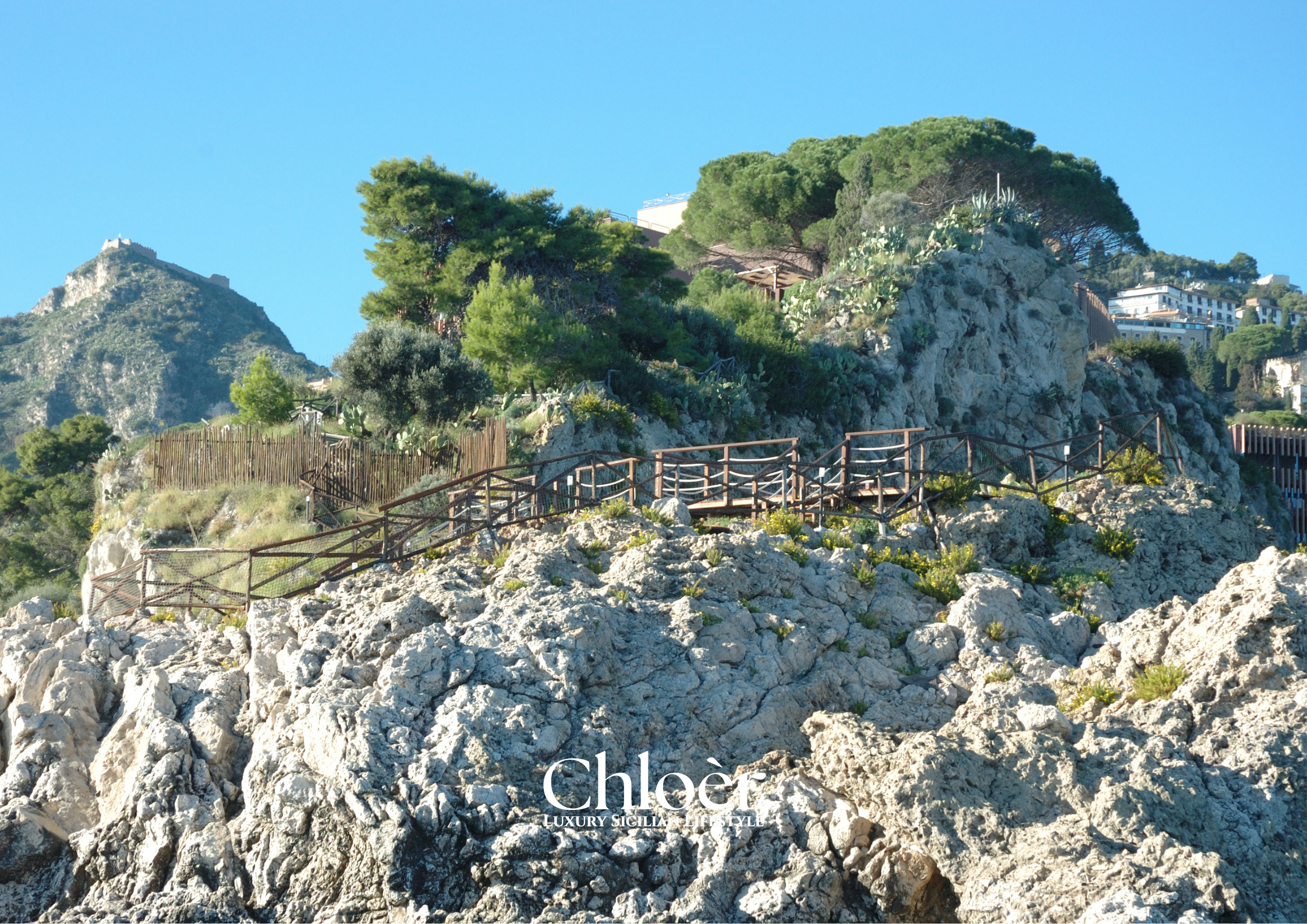 Progetto senza titolo(77).png