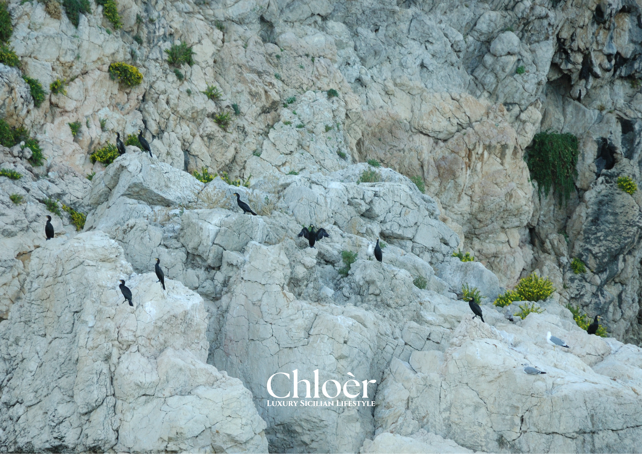 Progetto senza titolo(93).png