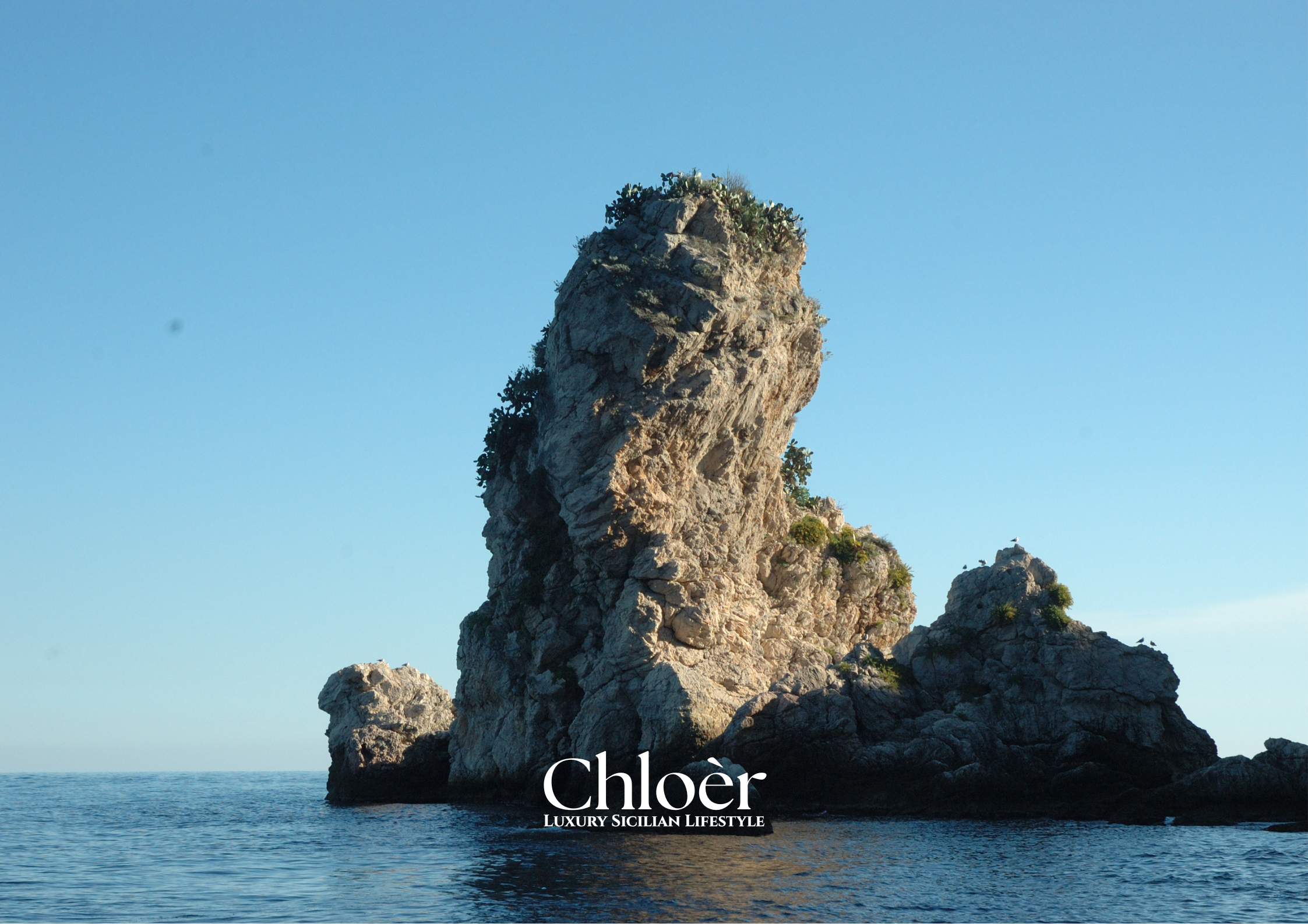 Progetto senza titolo(85).png