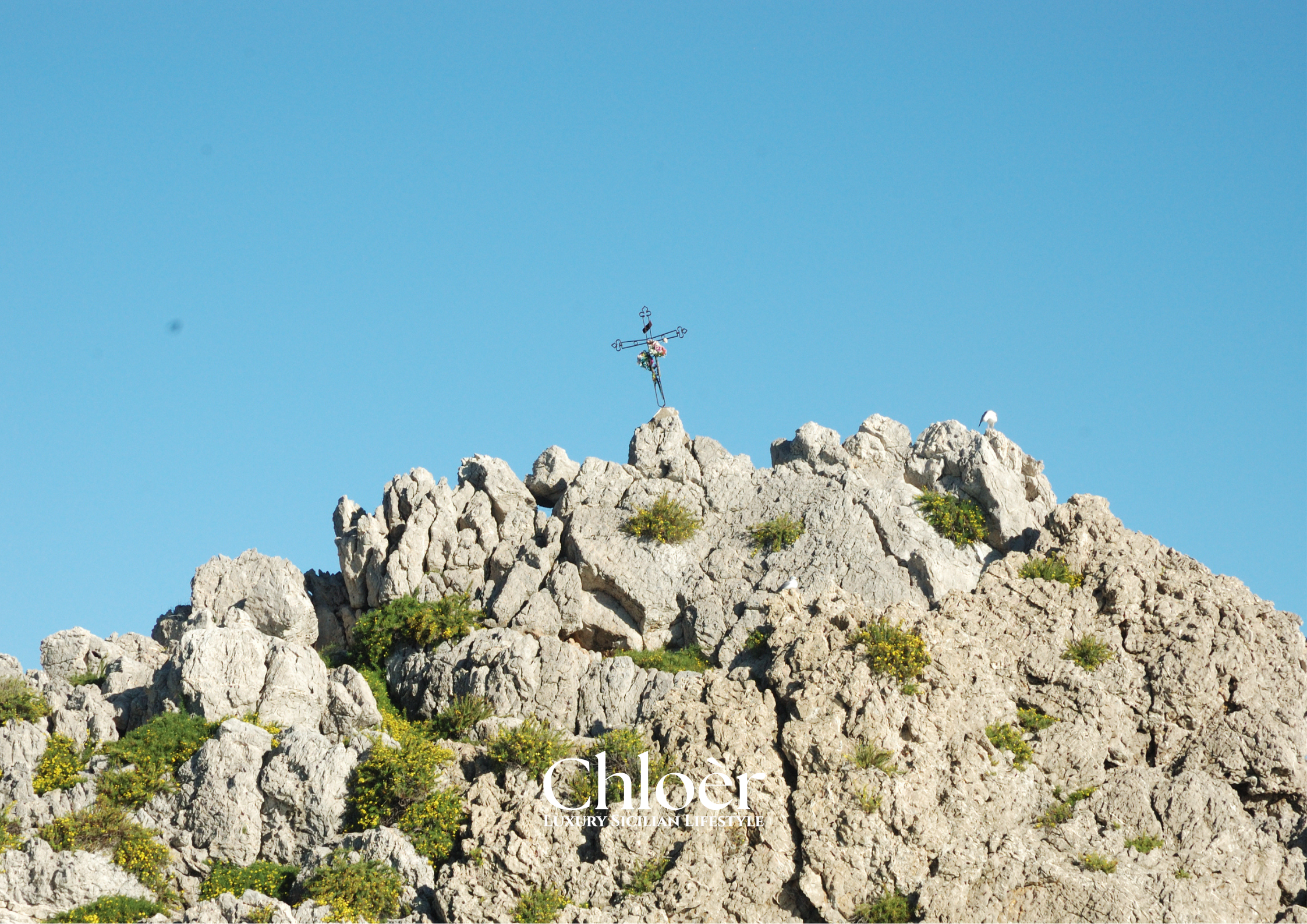 Progetto senza titolo(12).png