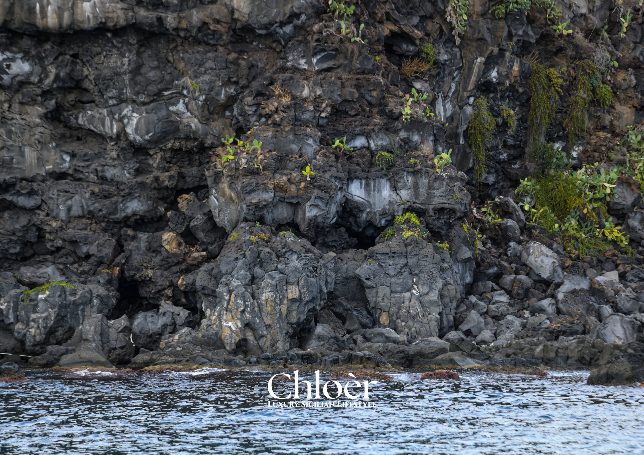 Progetto senza titolo(44).png