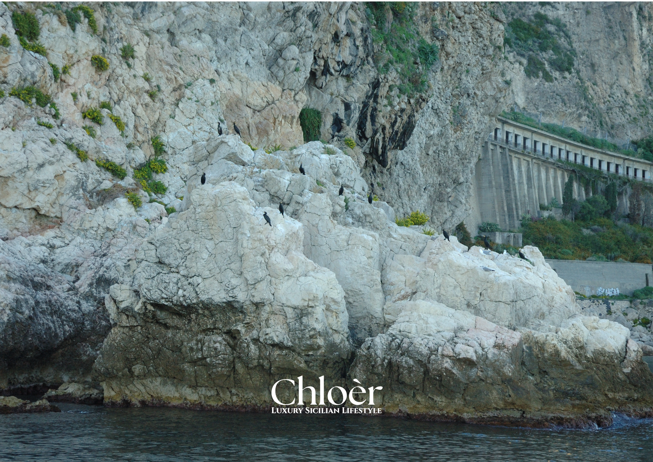 Progetto senza titolo(92).png