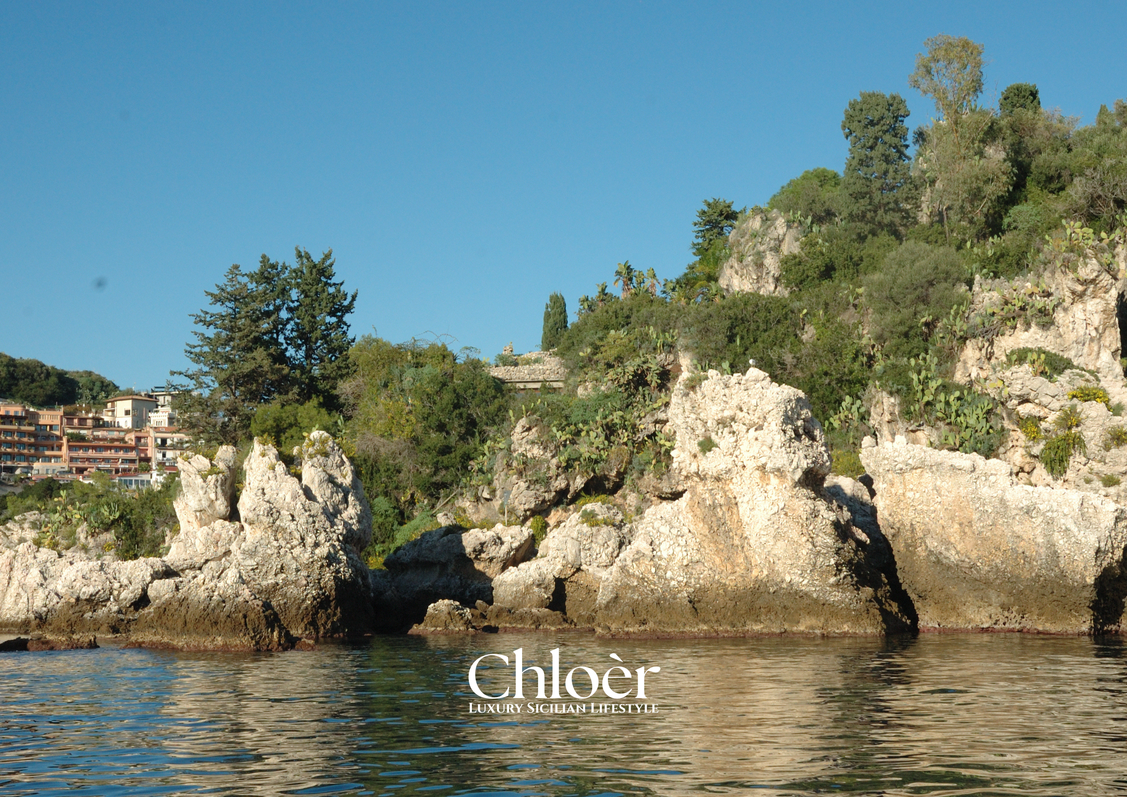 Progetto senza titolo(18).png