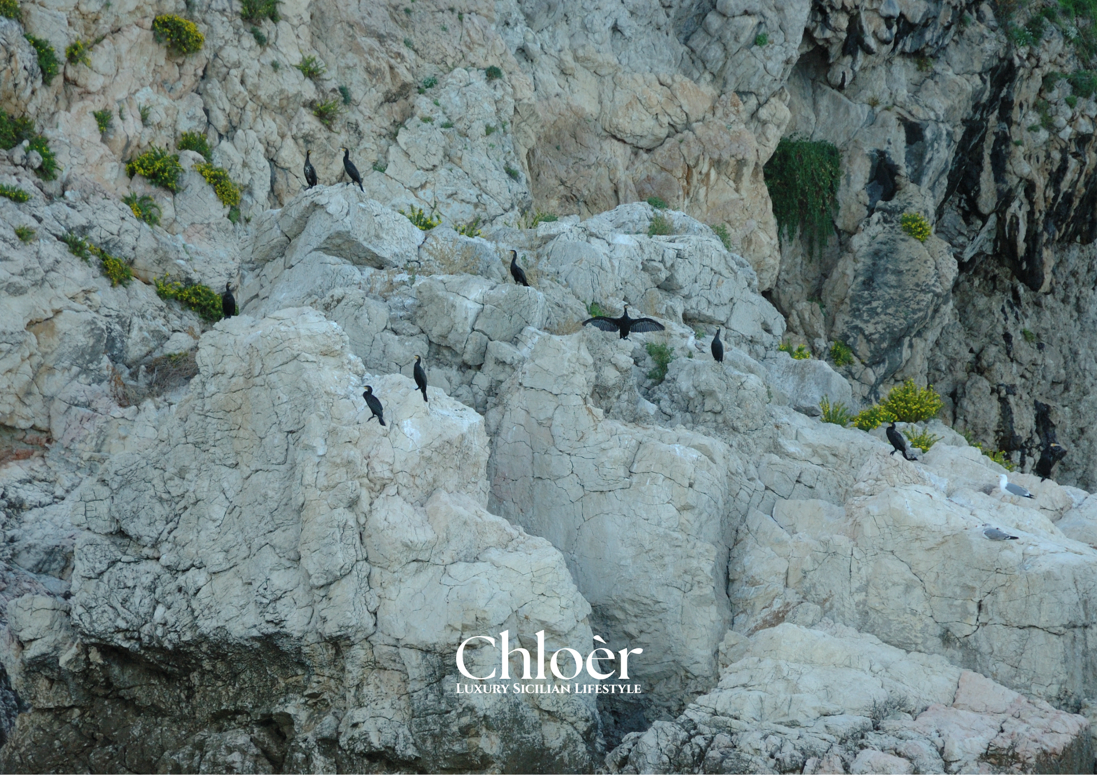 Progetto senza titolo(90).png