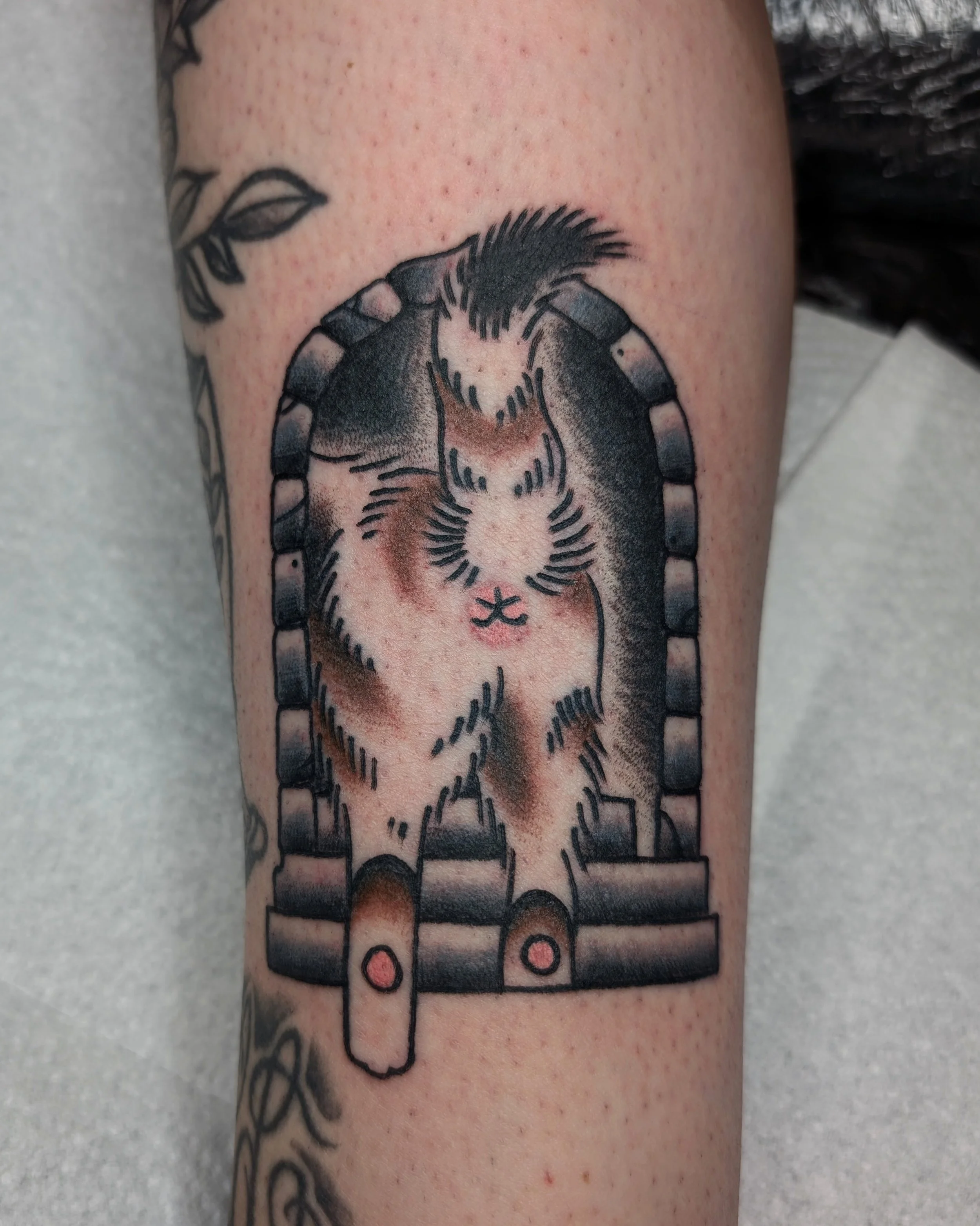 Tattoo eines Zebras, das zwischen Ziegelsteinen steht, im traditionellen Stil, Schwarz und Braun