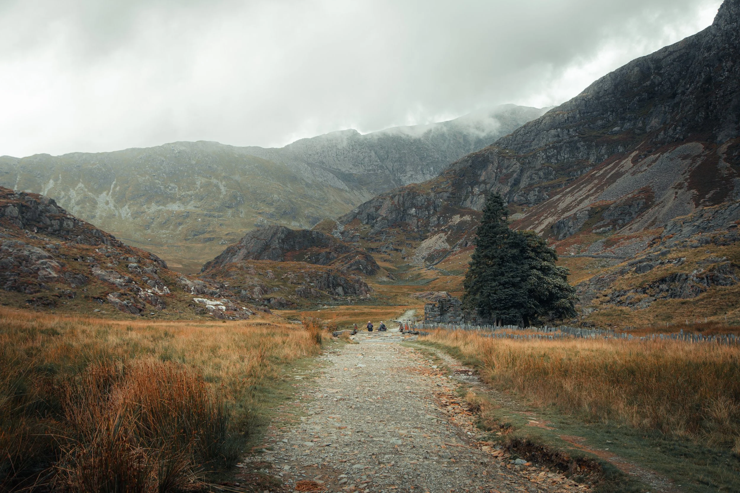 A rugged mountain landscape with a dirt path leading towards a small grouping of people, a large tree, and rocky slopes in the background, under cloudy skies.