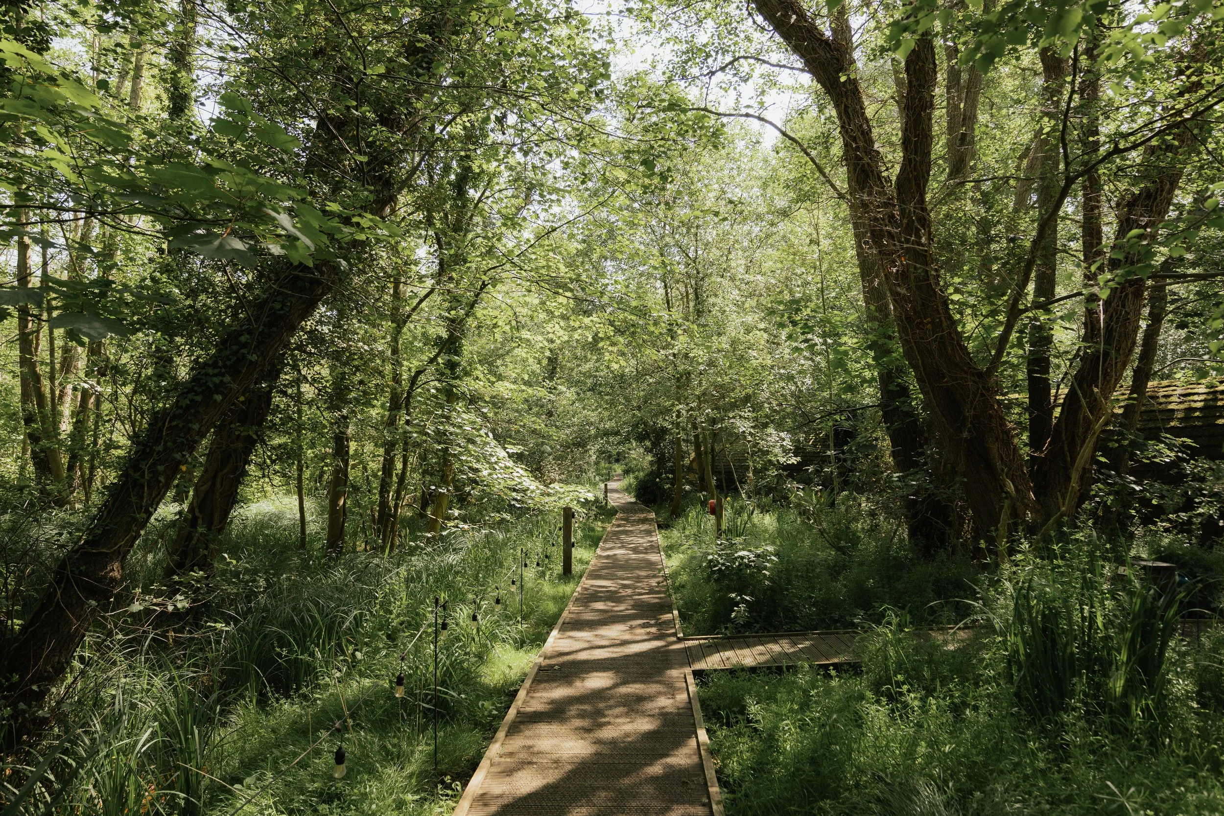 Deers Glade (May 2026)-8.jpg