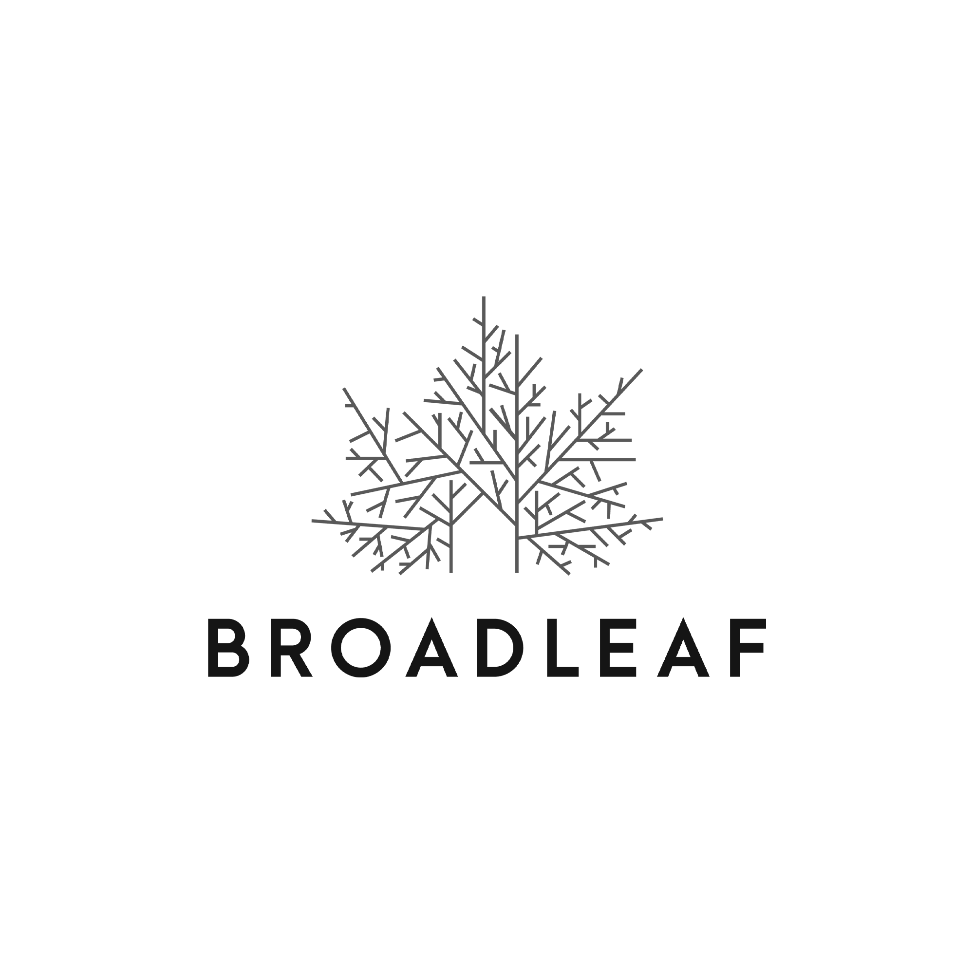 Logo featuring a stylized tree with an intricate network of branches, above the text "BROADLEAF" in bold, uppercase letters.