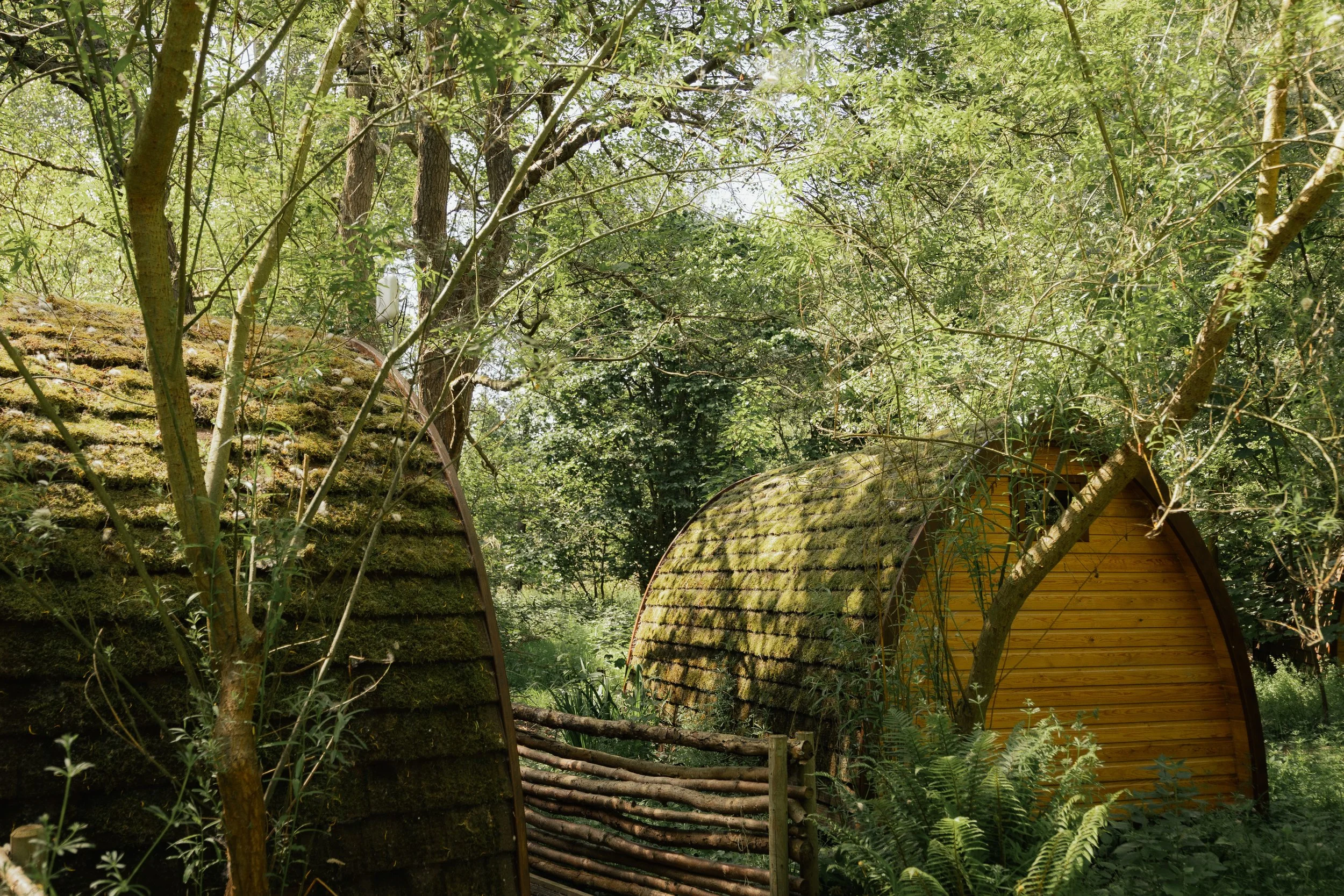 Deers Glade (May 2026)-17.jpg