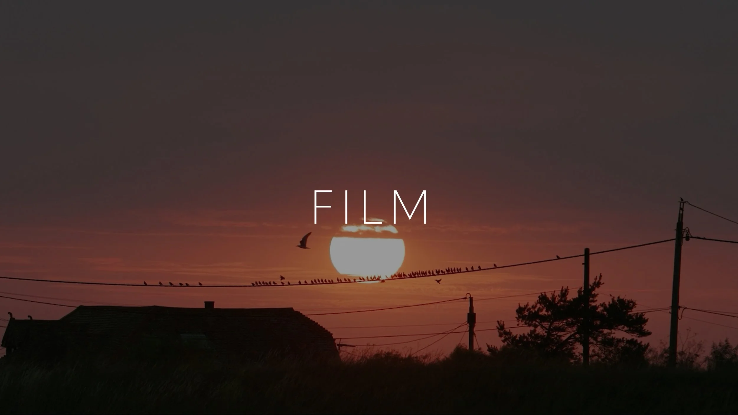 Sunset over a rural area with silhouetted house and trees, power lines, and a flock of birds on the wire.