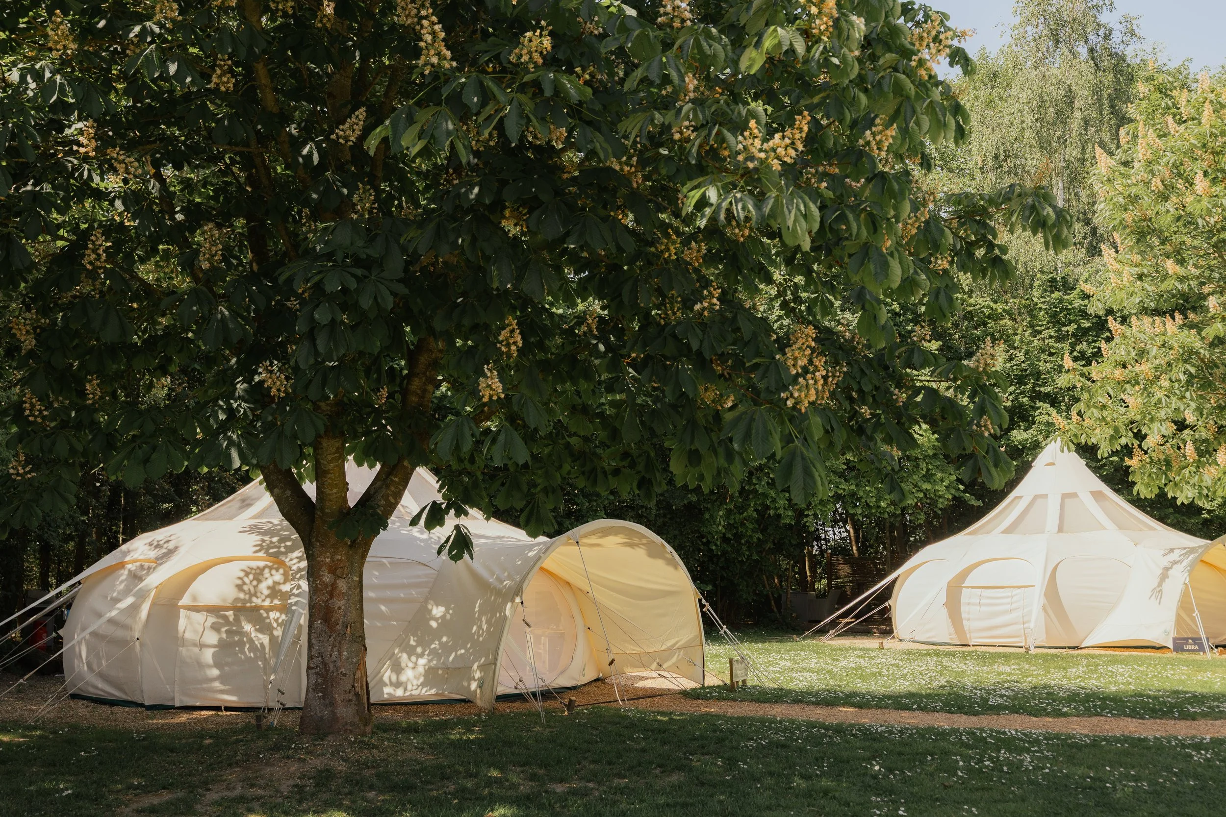 Deers Glade (May 2026)-32.jpg