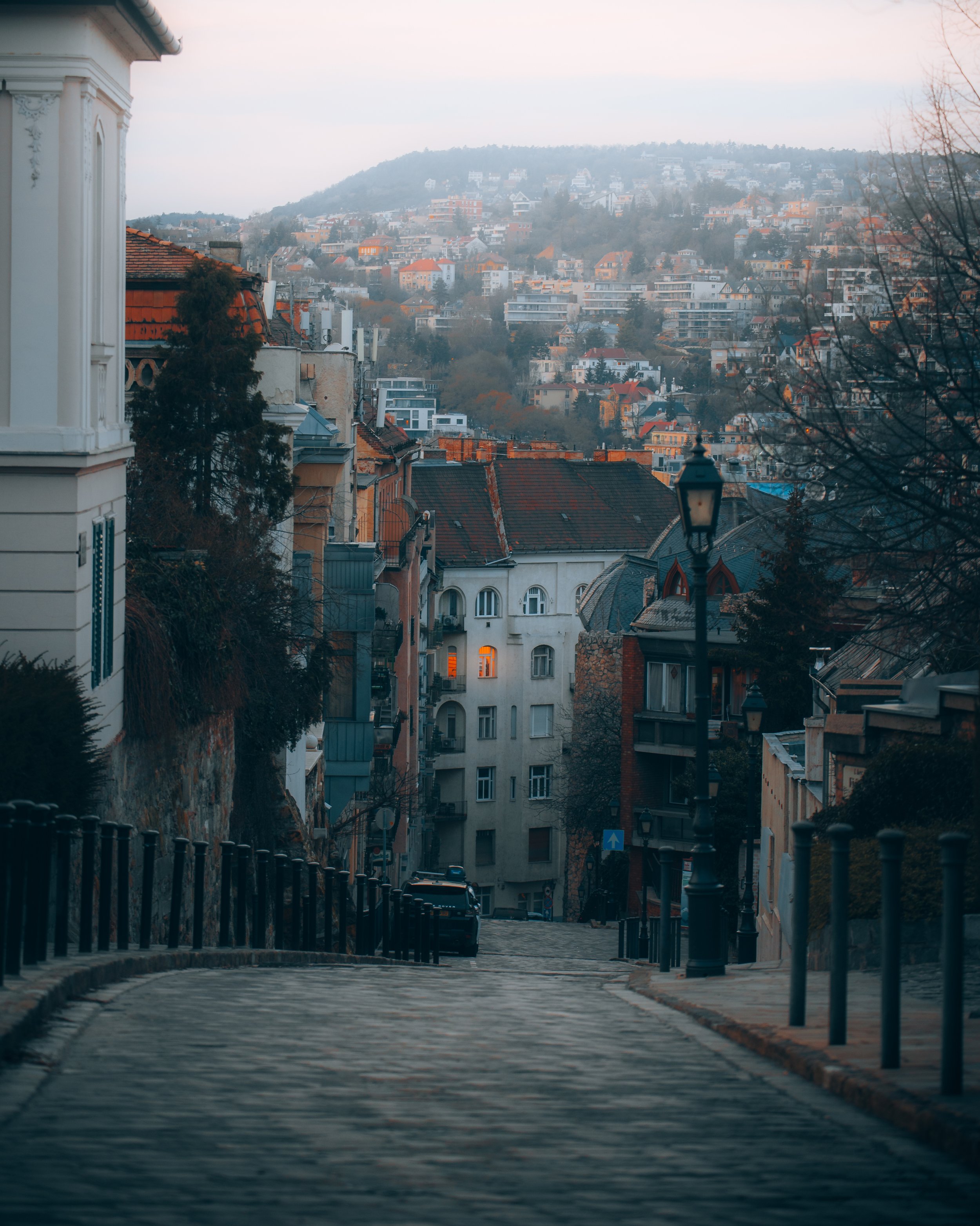 A steep cobblestone street lined with black metal railings, leading into a neighborhood with multi-story buildings, some with lit windows, and a hillslope covered with numerous houses and trees in the background. The sky is overcast.