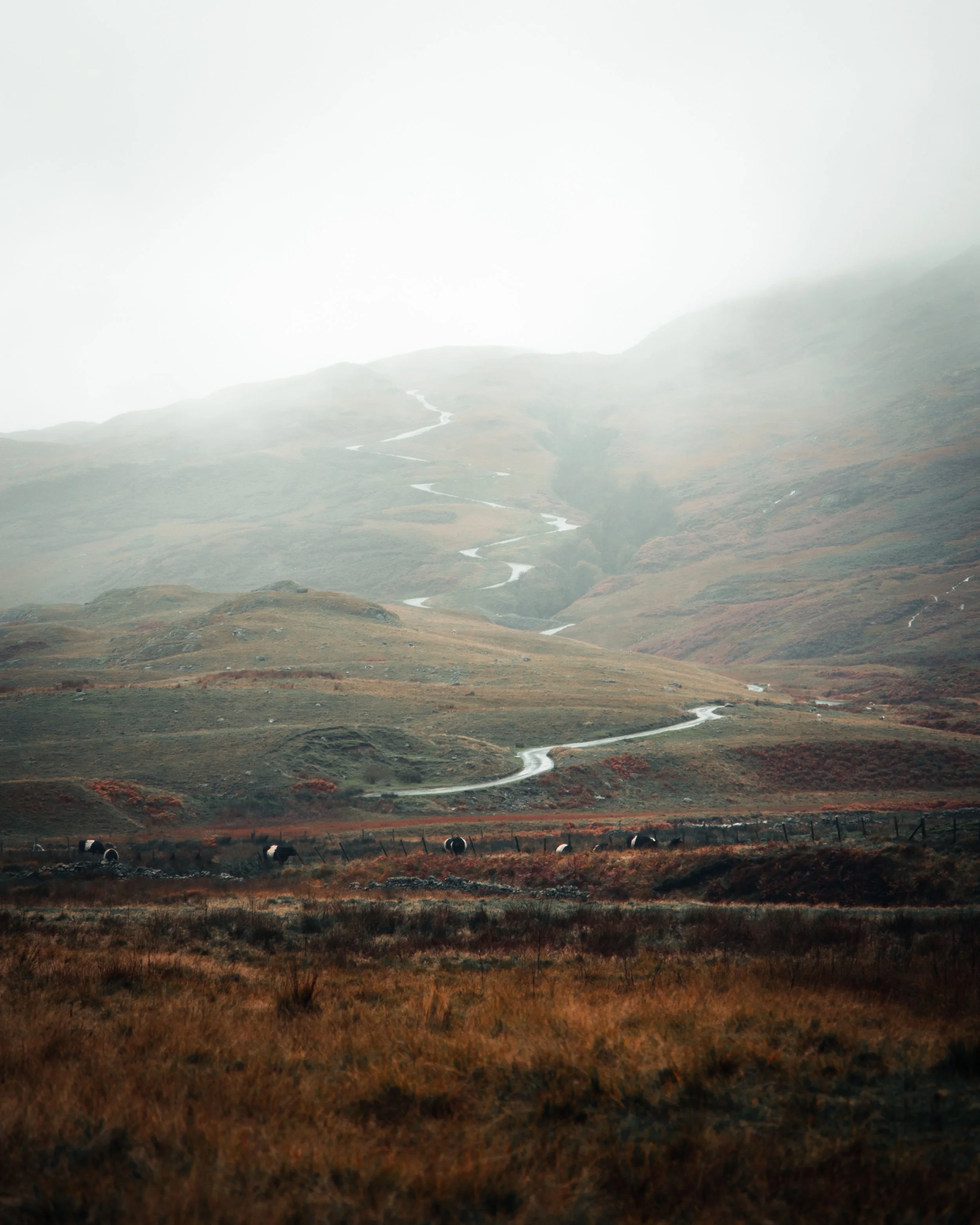 A winding road running through a foggy mountainous landscape with grassy terrain and grazing animals.