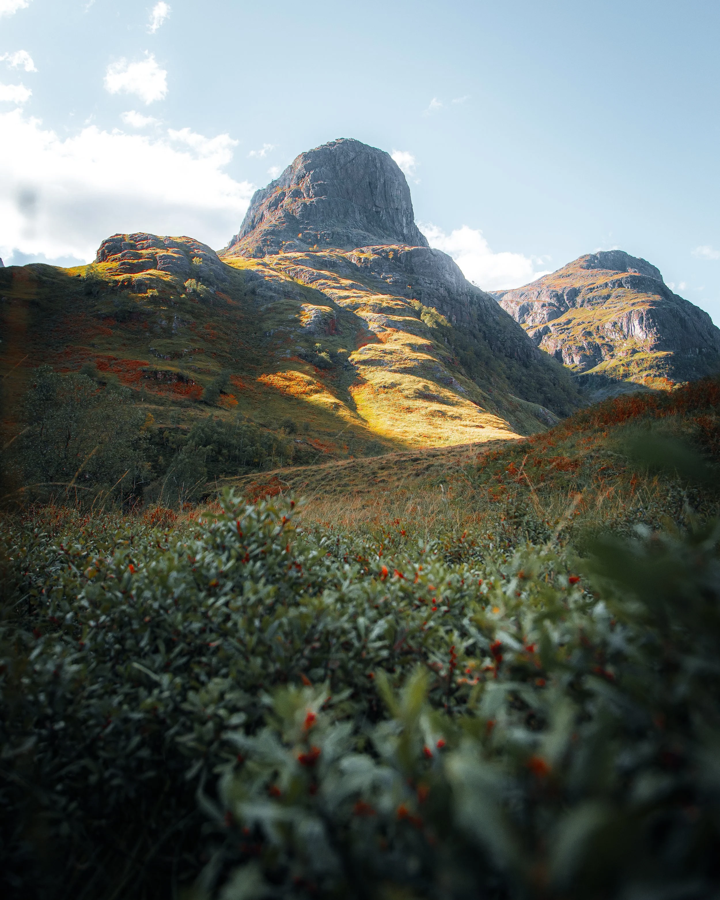 Mountain landscape with rocky peaks, grassy slopes, and a foreground of green bushes under a partly cloudy sky.