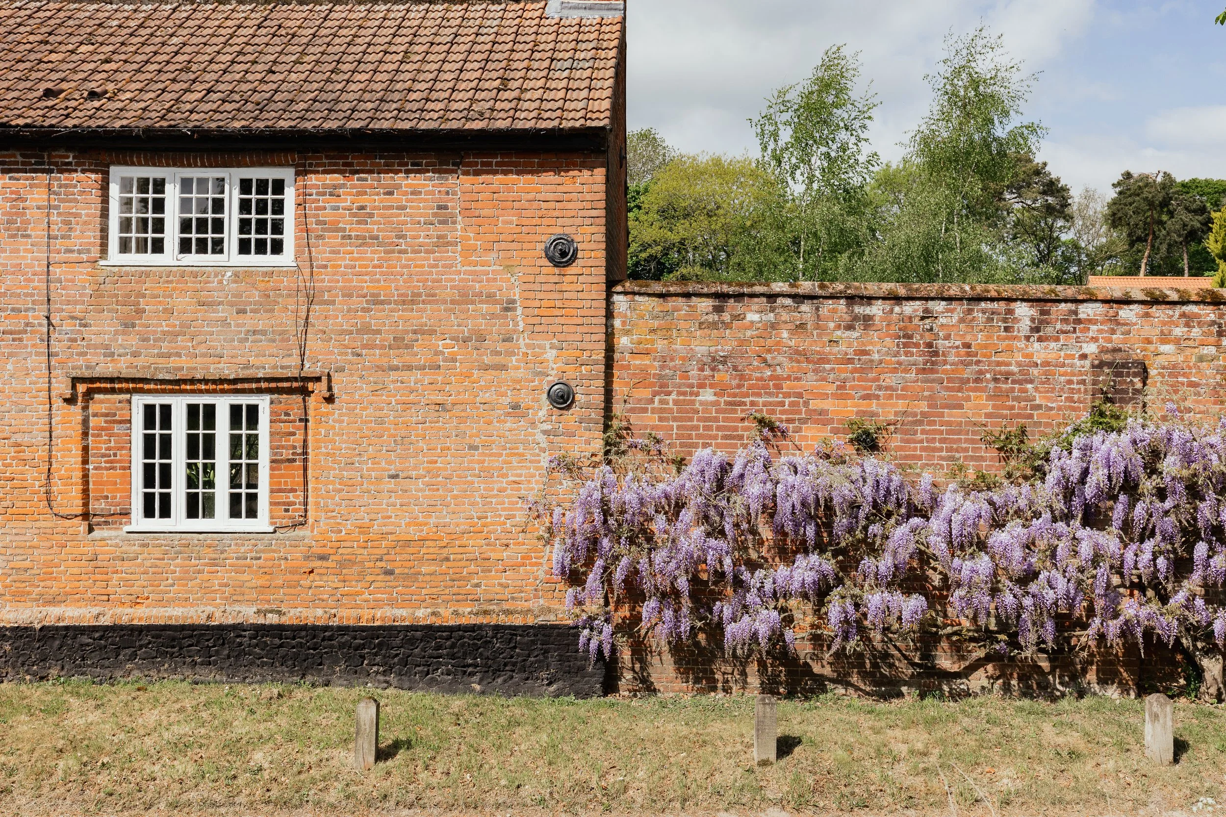 A brick wall with three white-framed windows, two on the lower level and one on the upper level. There are two black vents or lights on the wall. Purple wisteria flowers grow along the lower part of the wall. The sky is partly cloudy, and trees with 