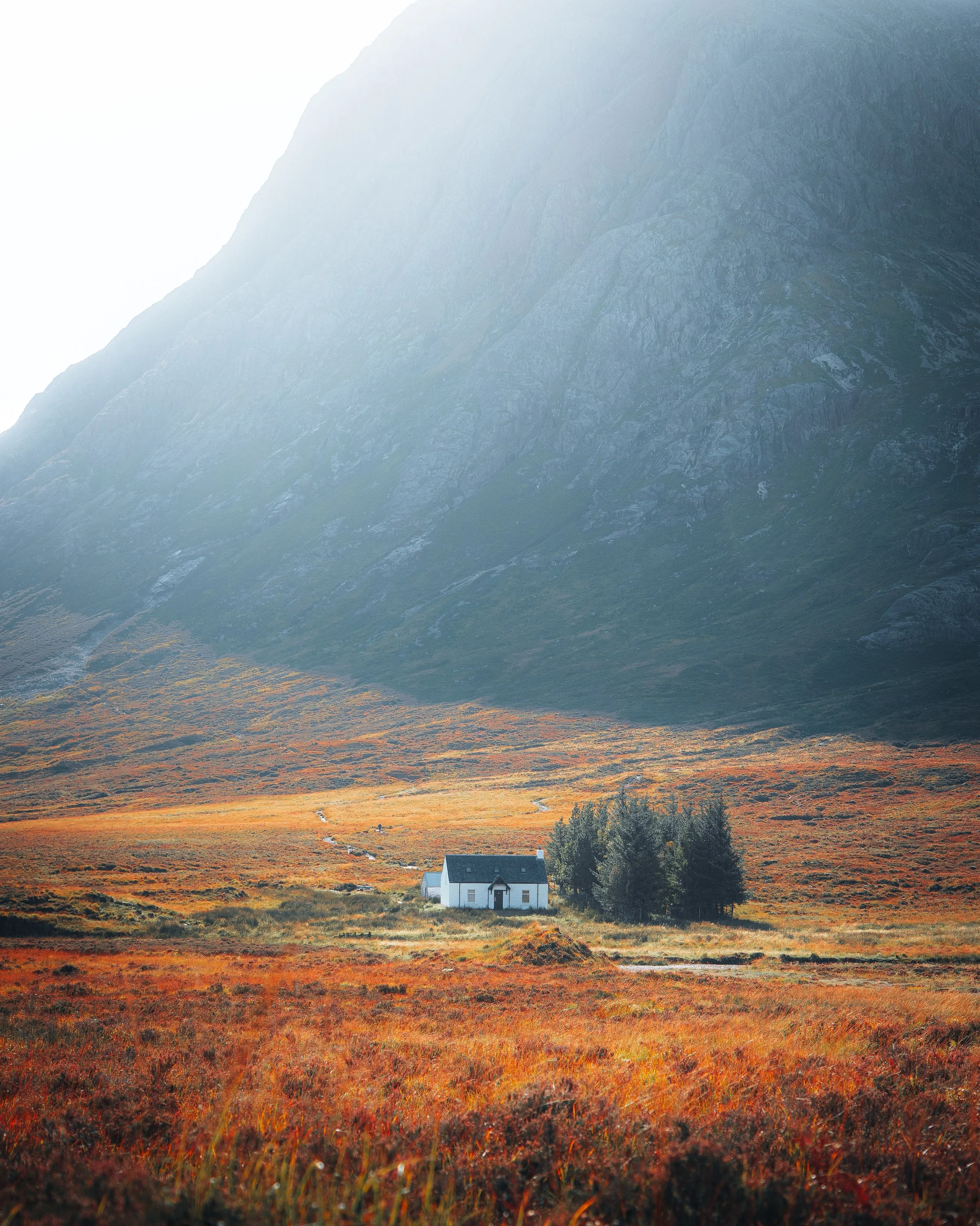 A small white house with a dark roof in a vast, open field with orange and red foliage, with a forested area and large mountain in the background under bright sky.