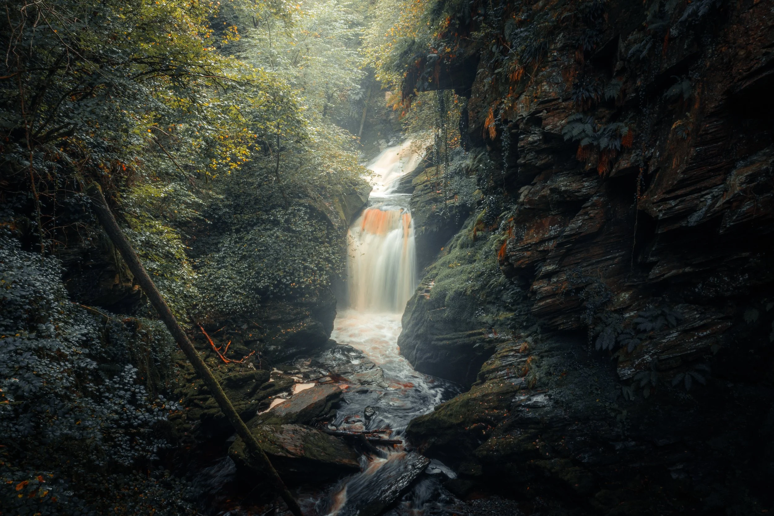A waterfall cascading down in a lush, green forest with moss-covered rocks and dense foliage.