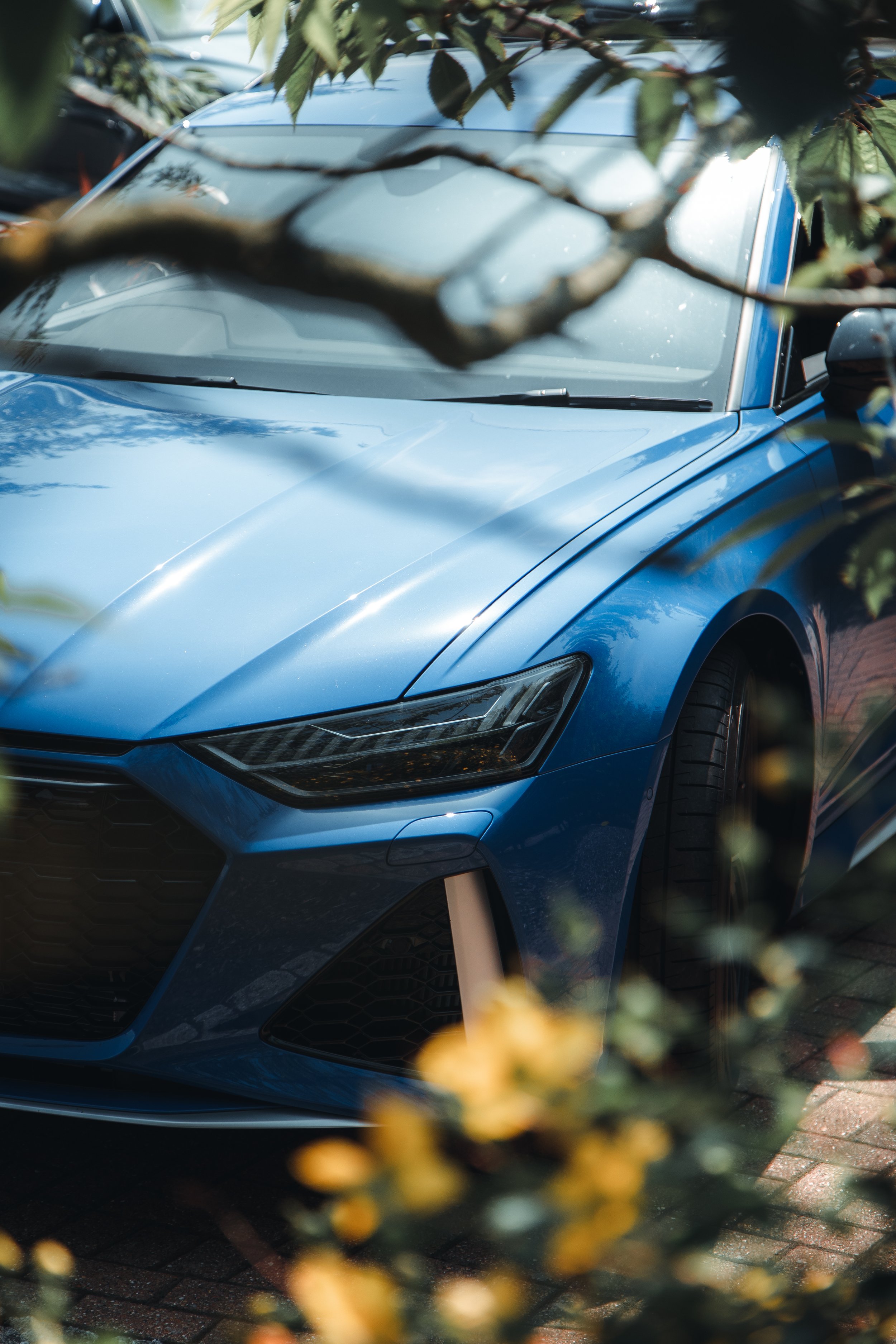 A blue sports car parked under trees with foliage partially obscuring the view.
