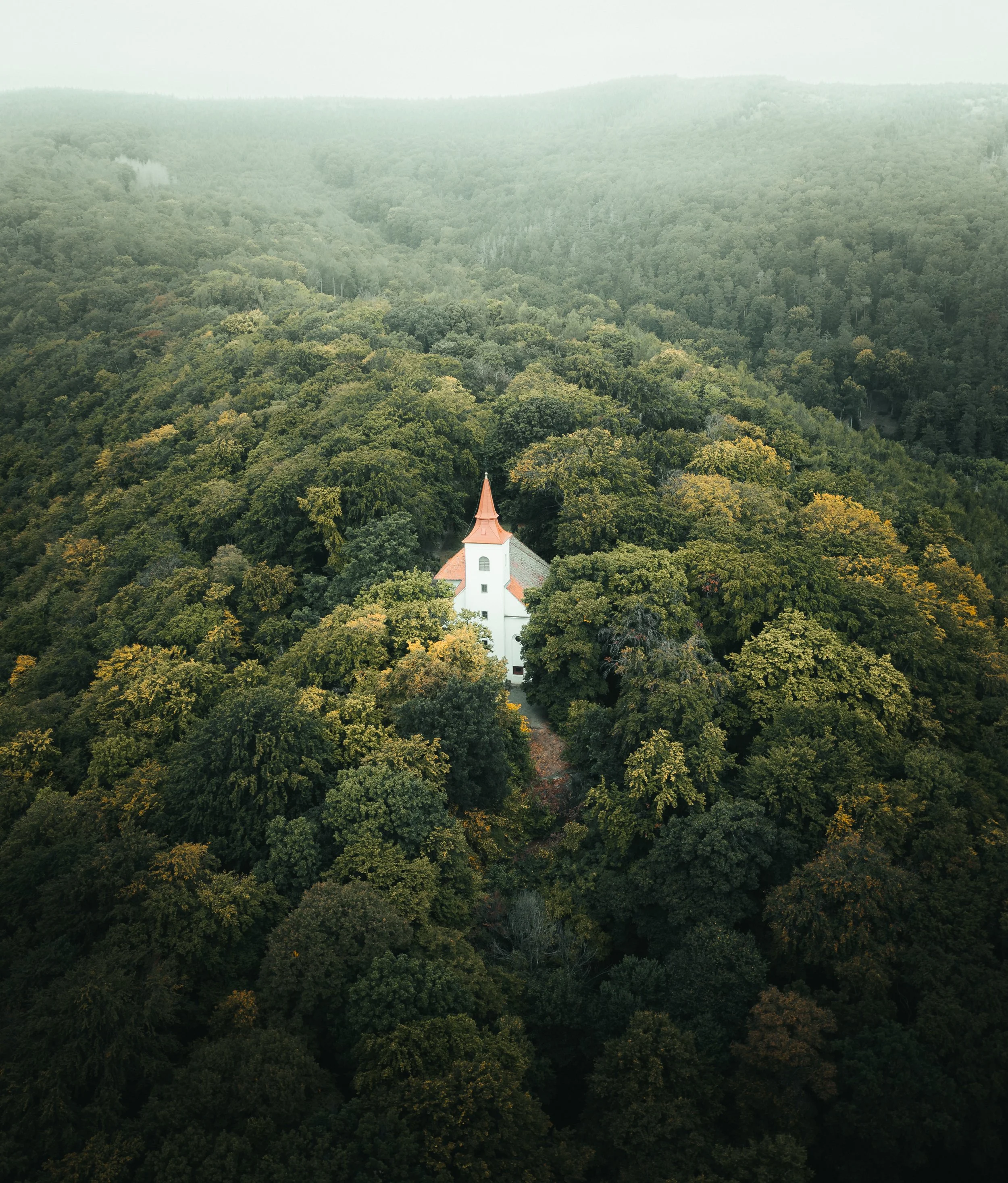 A white church with an orange roof and steeple surrounded by a dense forest of green trees, with rolling hills in the background