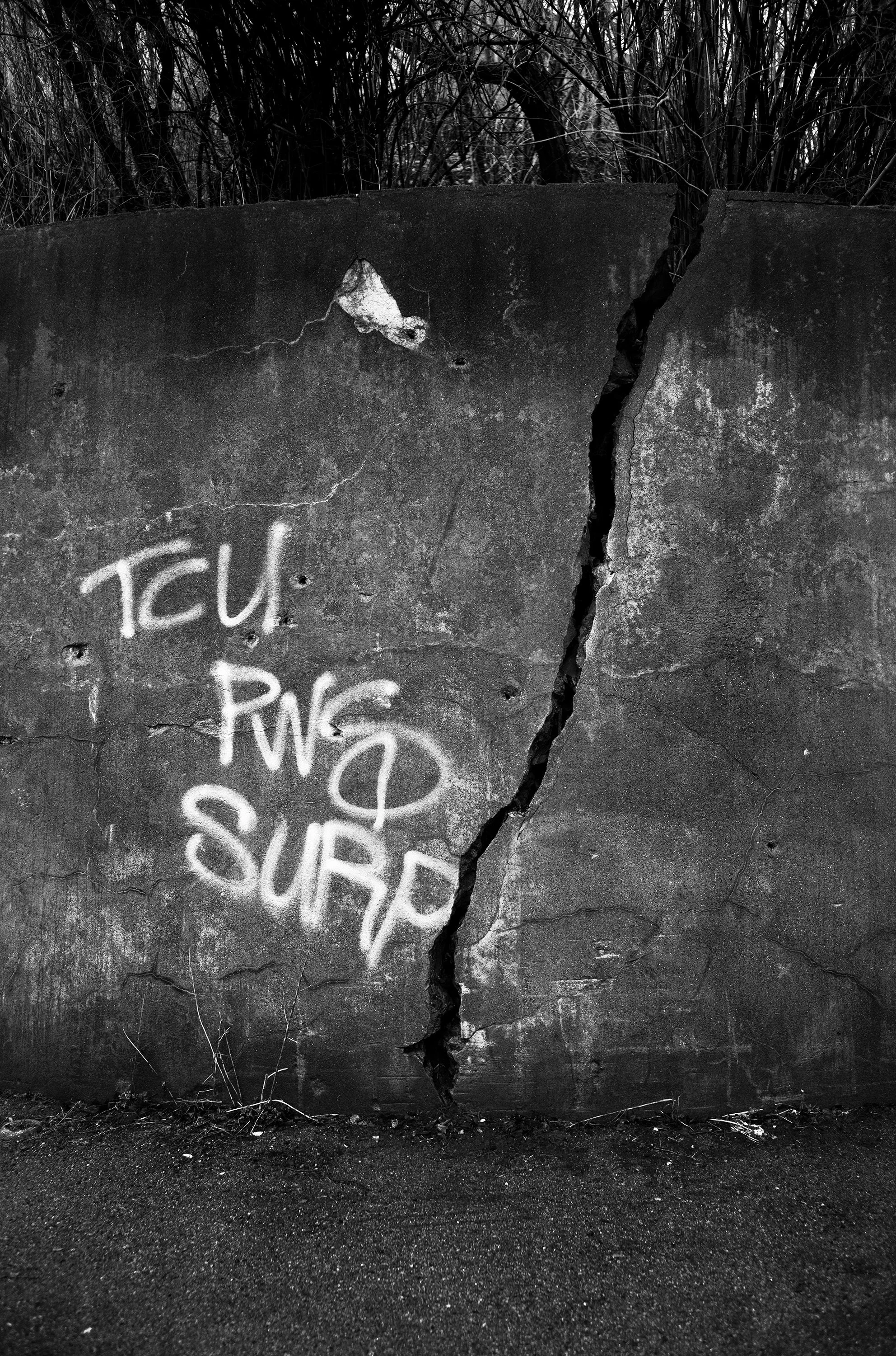 Muro de cemento agrietado con grafiti que dice 'Aquí PNS SUR' en letras blancas, en un entorno exterior con árboles al fondo.