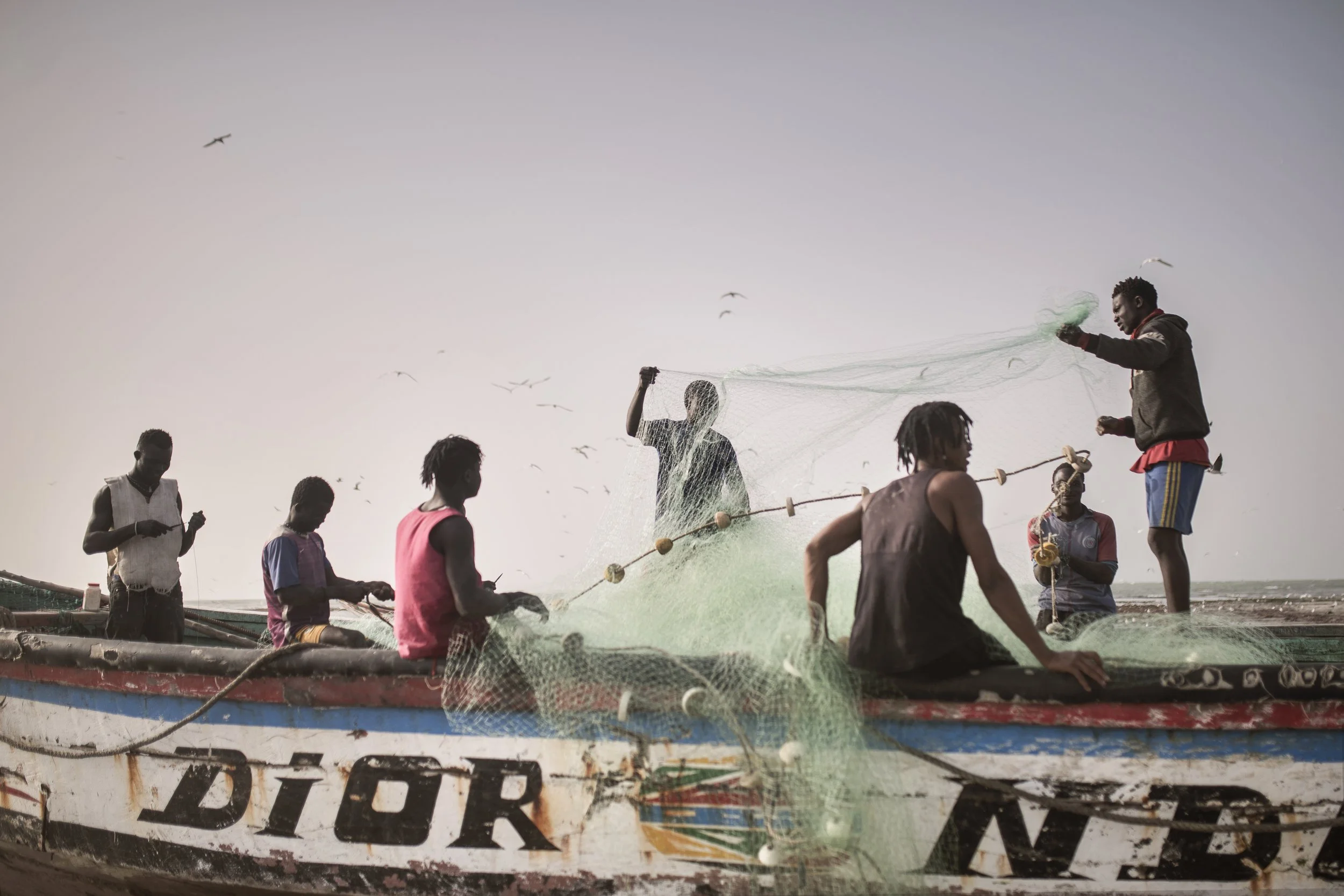 Grupo de pescadores en un barco, recogiendo redes de pesca en el mar, con aves volando en el cielo.