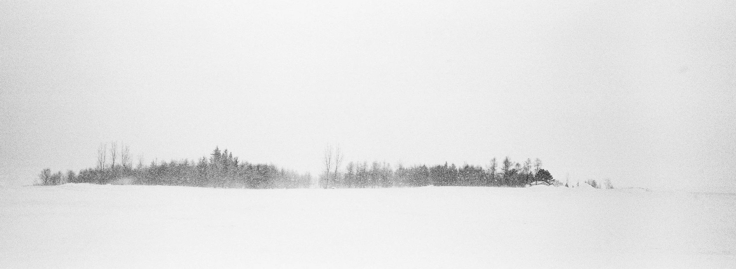 Paisaje invernal con árboles y un campo cubierto de nieve bajo un cielo gris.