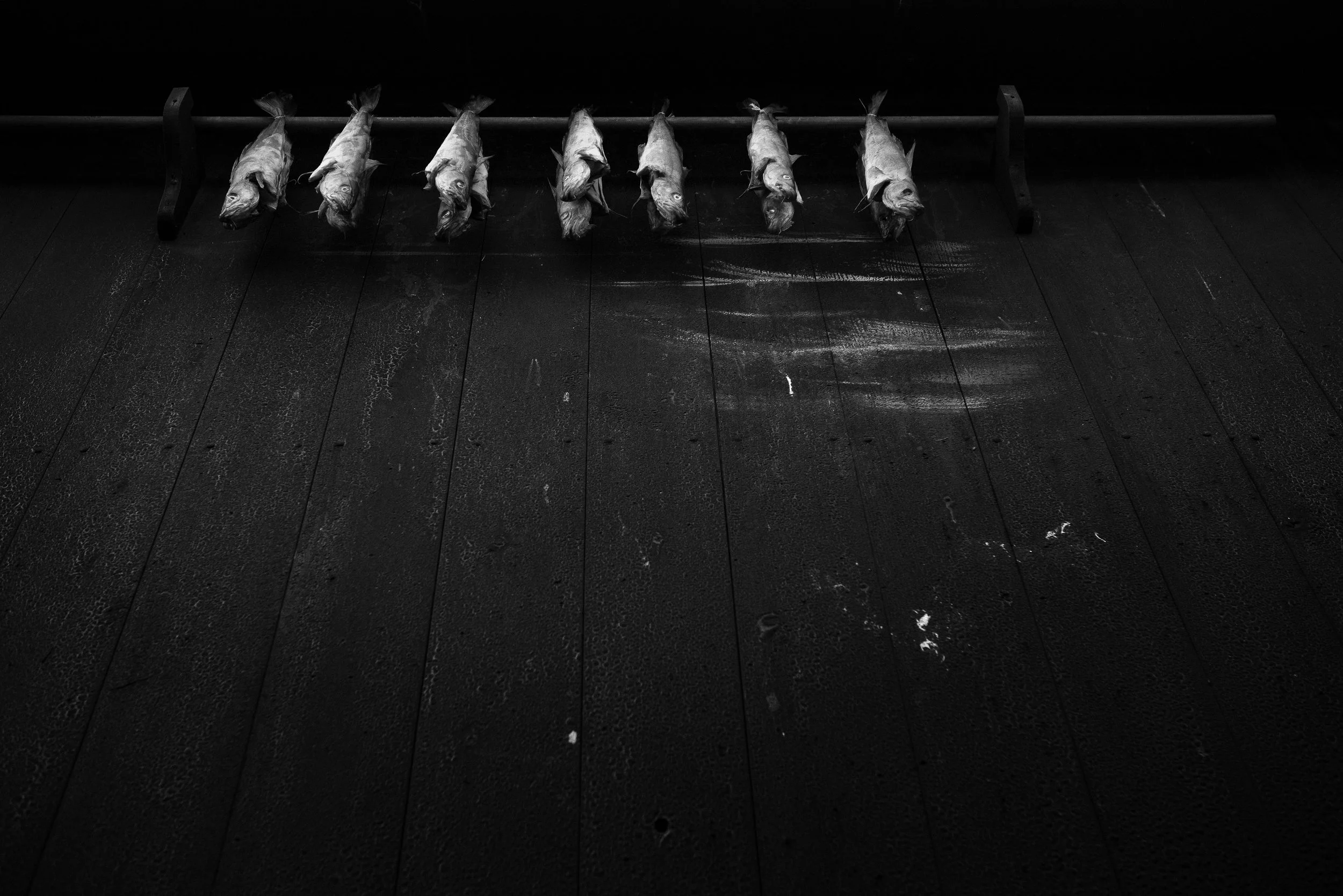 Ocho peces muertos colgados en un soporte en una superficie de madera negra.