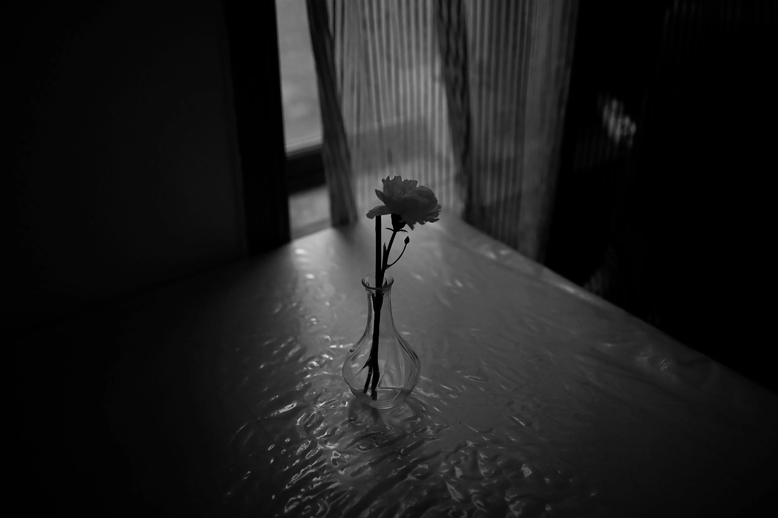 Flor en un jarrón de vidrio sobre una mesa, con cortinas y ventana de fondo, en un ambiente oscuro y con poca luz.