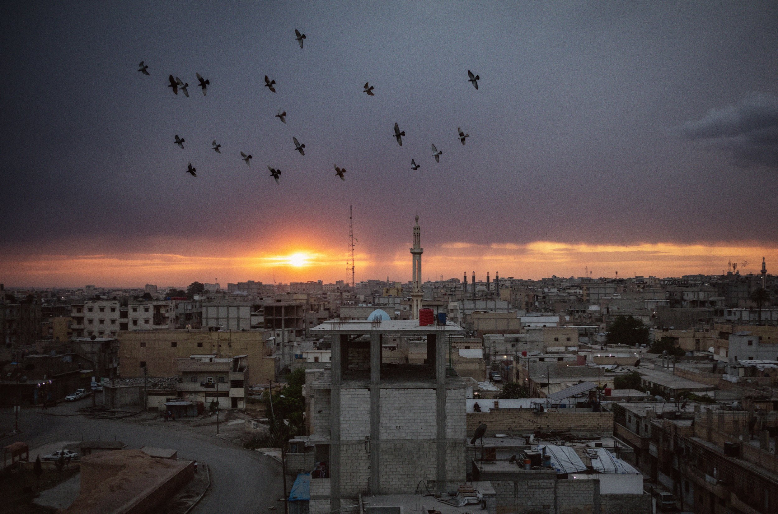 Paisaje urbano con edificios y una torre, en el horizonte un atardecer con nubes oscuras y un grupo de palomas volando en el cielo.