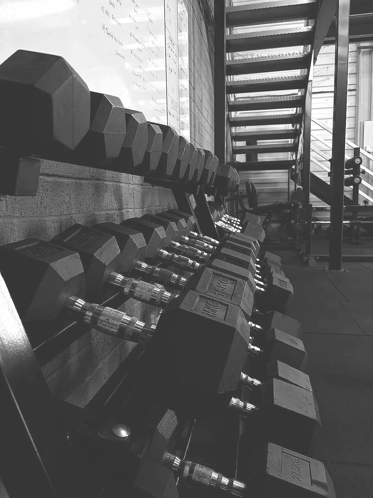 Free weights arranged for coached sessions