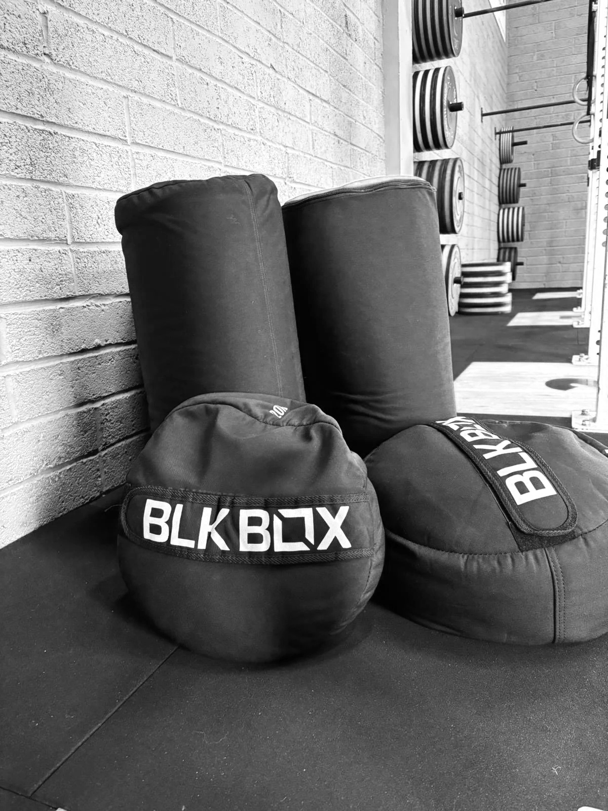 Sandbags for loaded carries and conditioning work