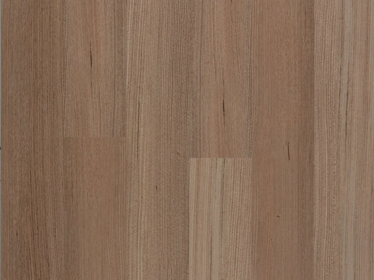 TASMANIA OAK