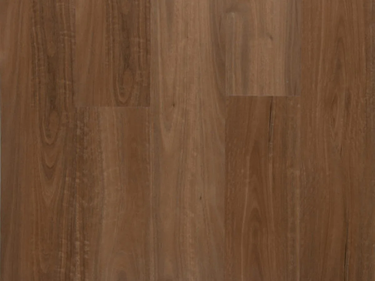 SPOTTED GUM