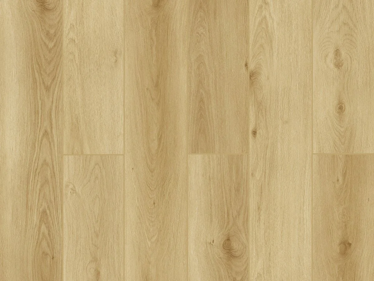 DUNE OAK