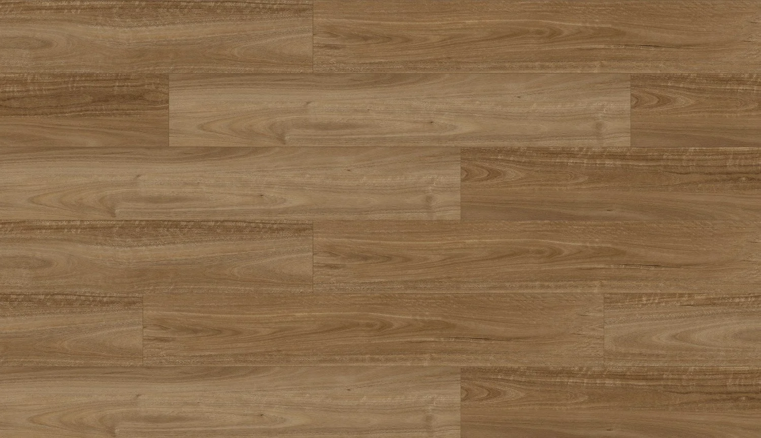 SPOTTED GUM