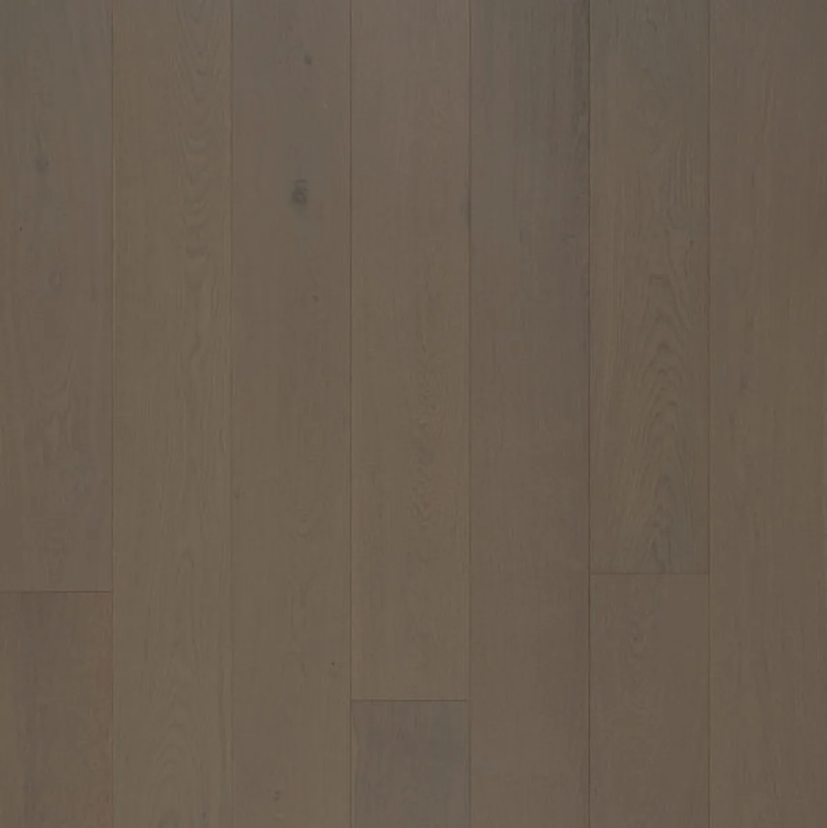 Grey Ash Oak Engineered Timber 14/3mm flooring