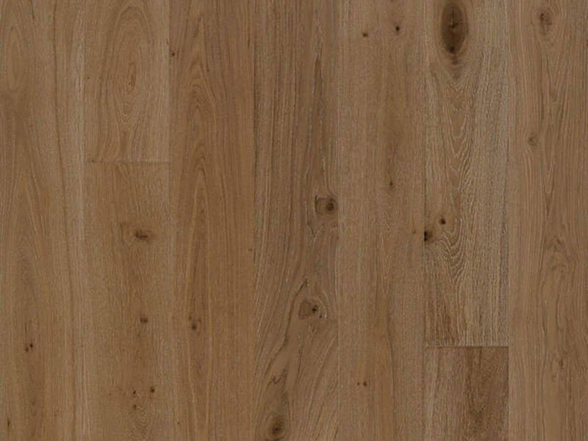 SMOULDER OAK