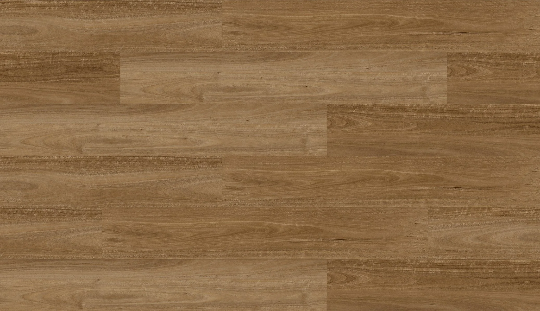 SPOTTED GUM
