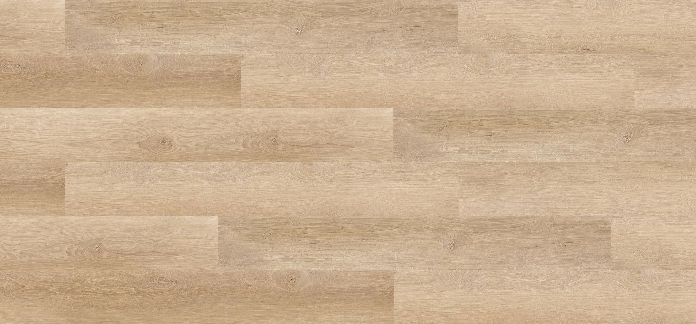 DESERT OAK