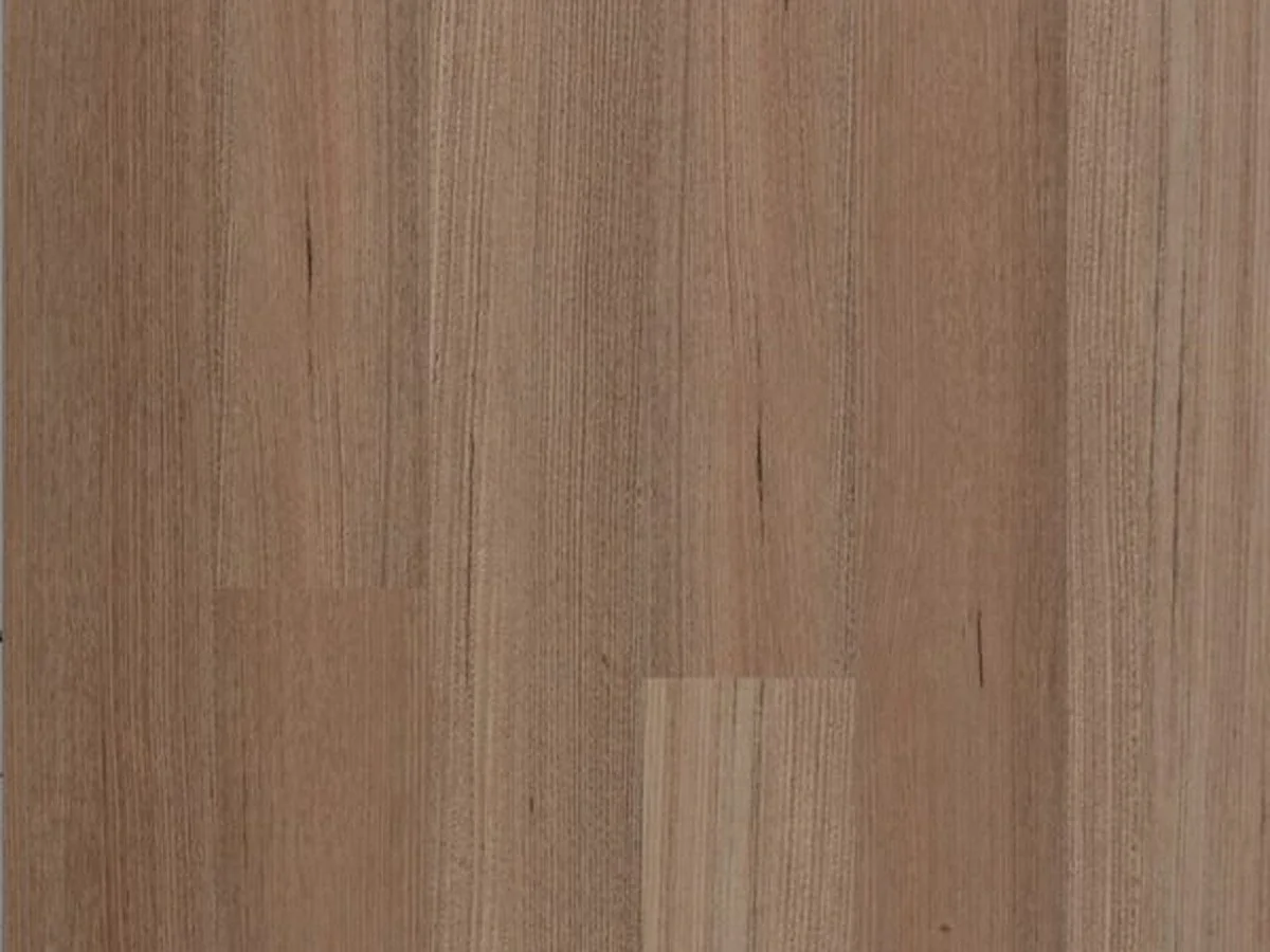 TASMANIA OAK