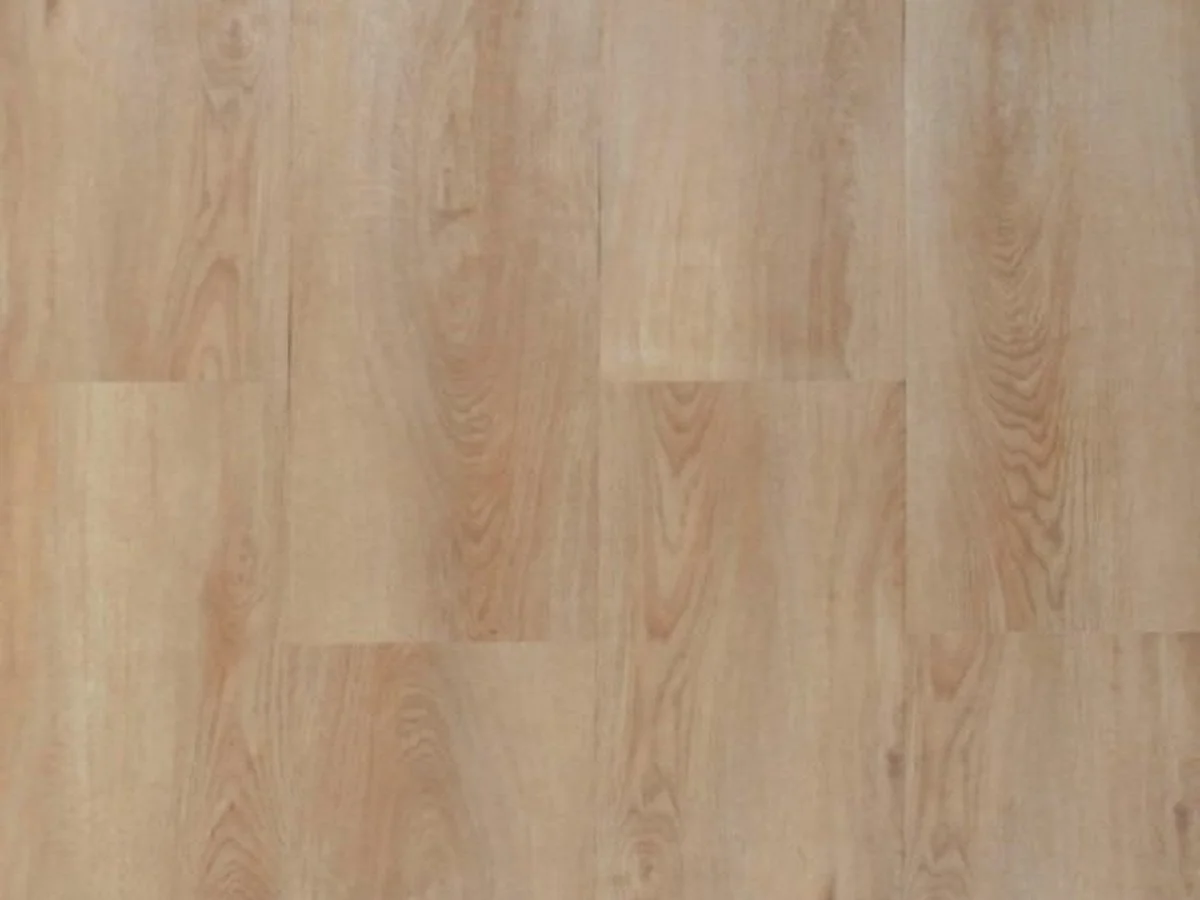 CHESTNUT OAK