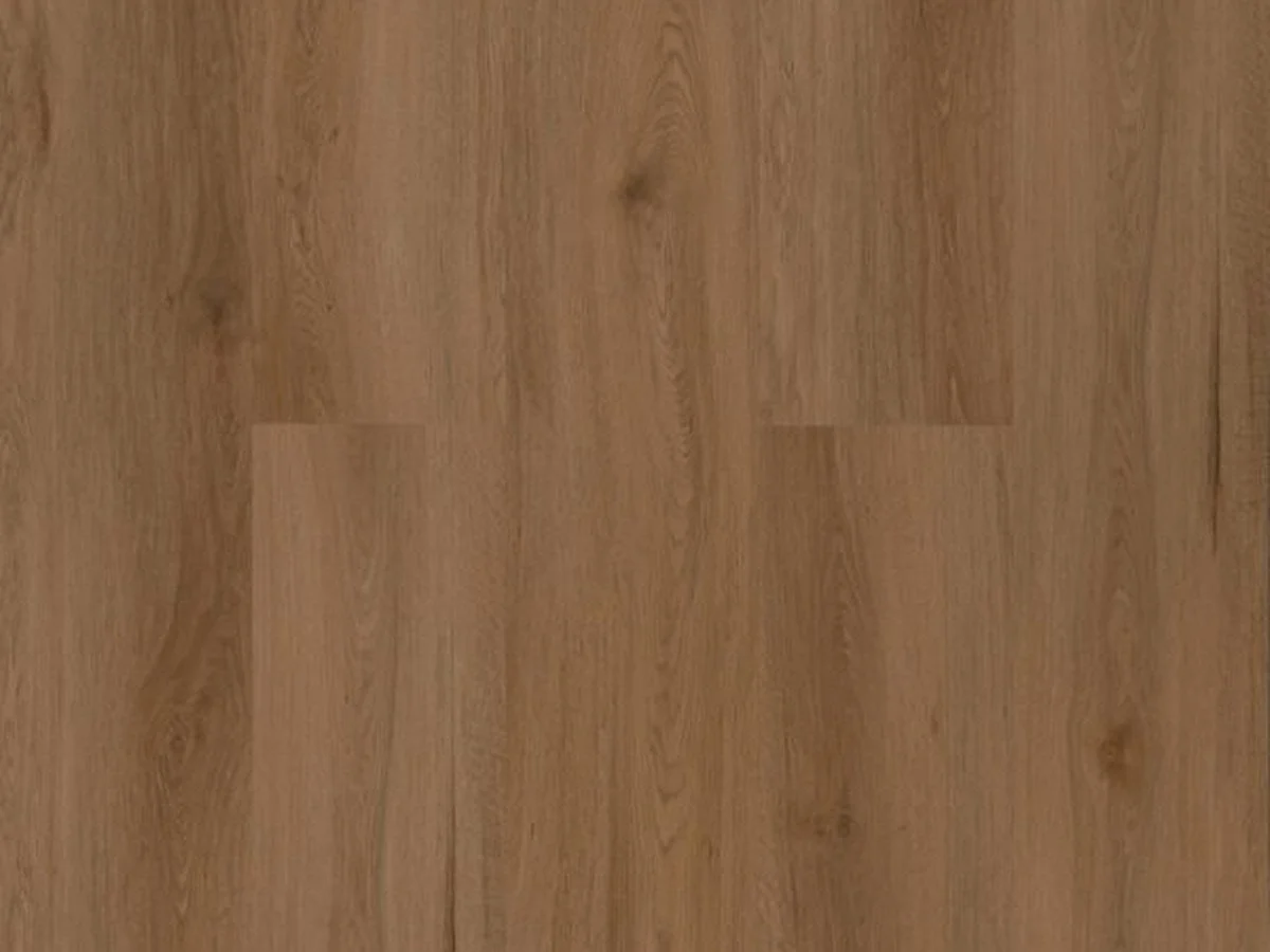 COASTAL SPOTTED GUM