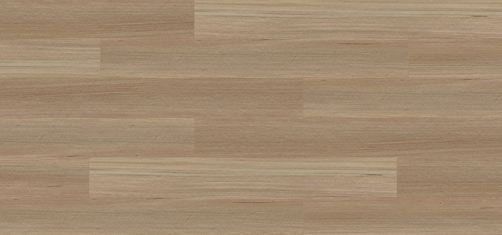 TASMANIAN OAK