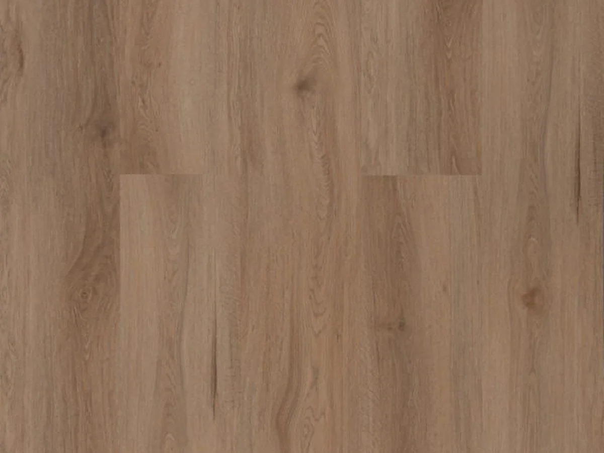 COASTAL SPOTTED GUM