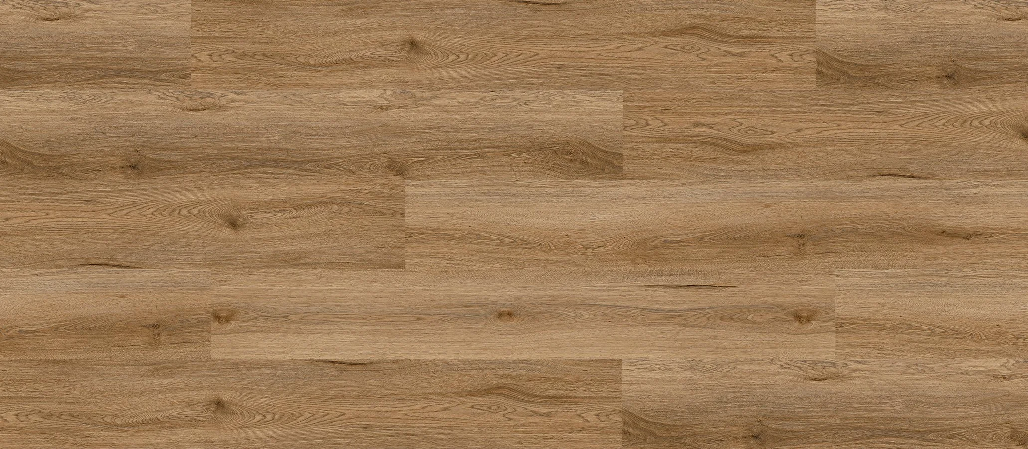 COASTAL SPOTTED GUM