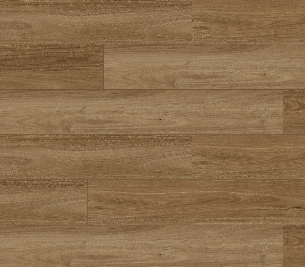 SPOTTED GUM - 8MM