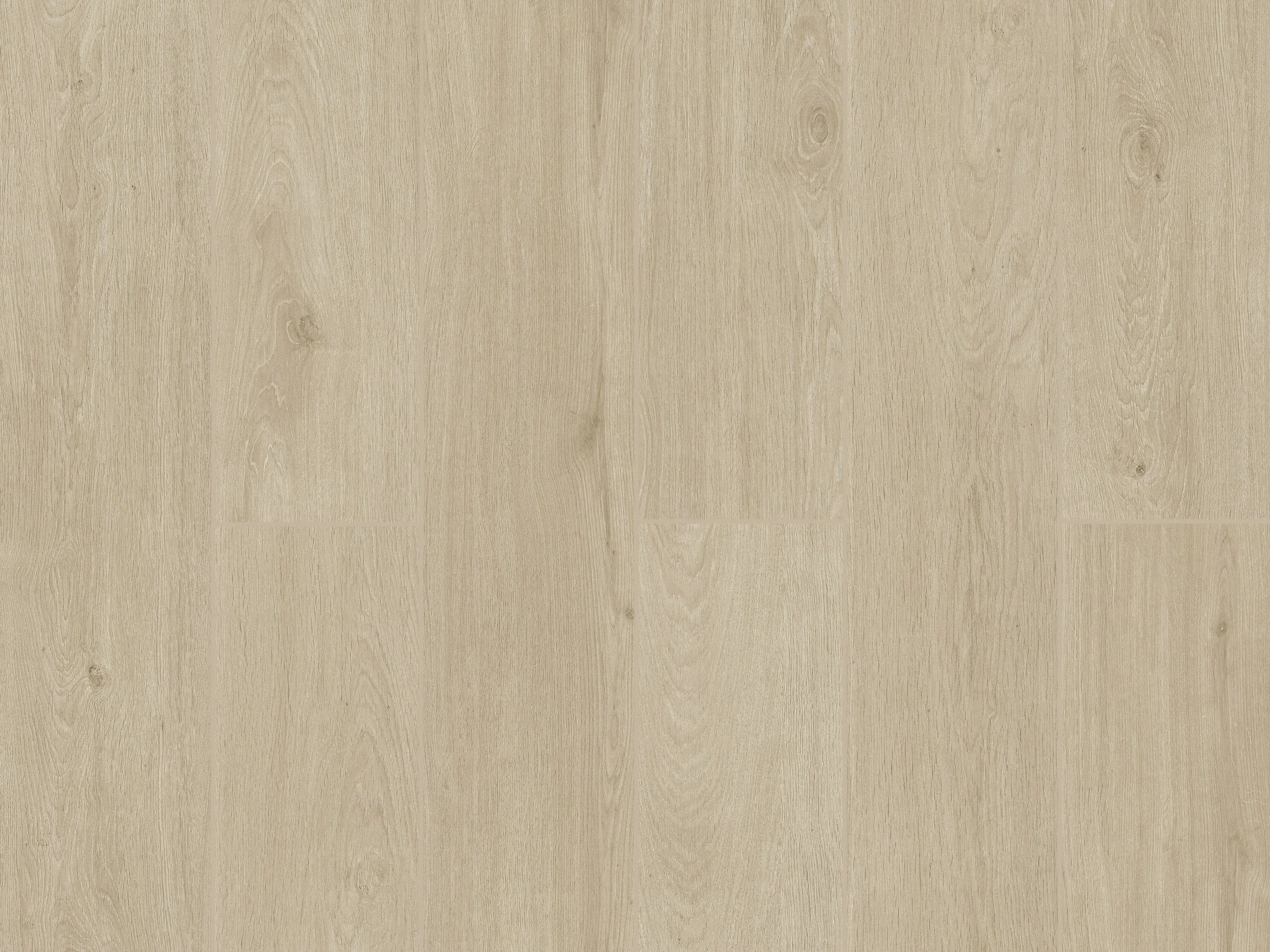 Clouded Birch Lakeview AC5 12mm flooring