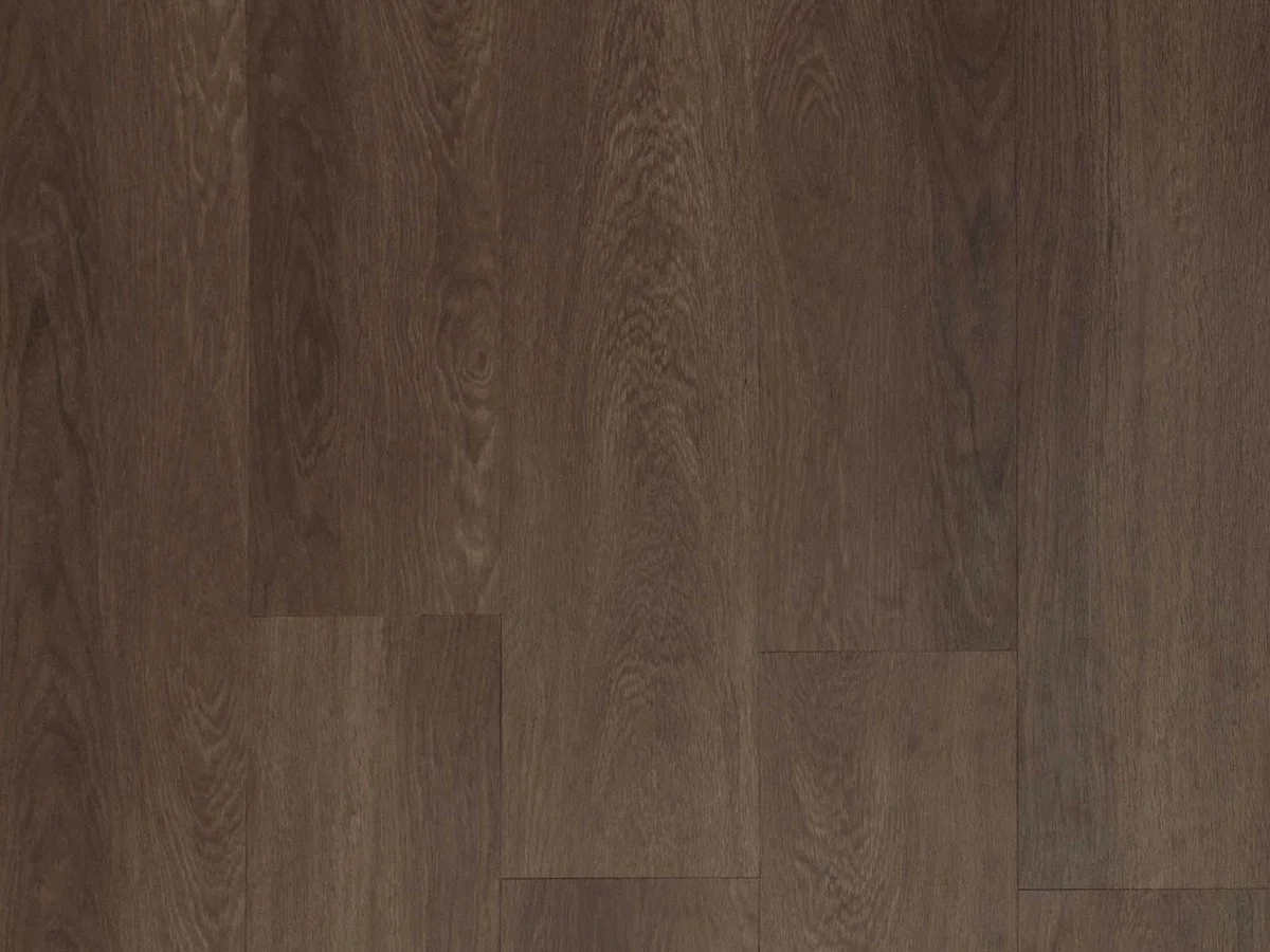 SADDLE OAK