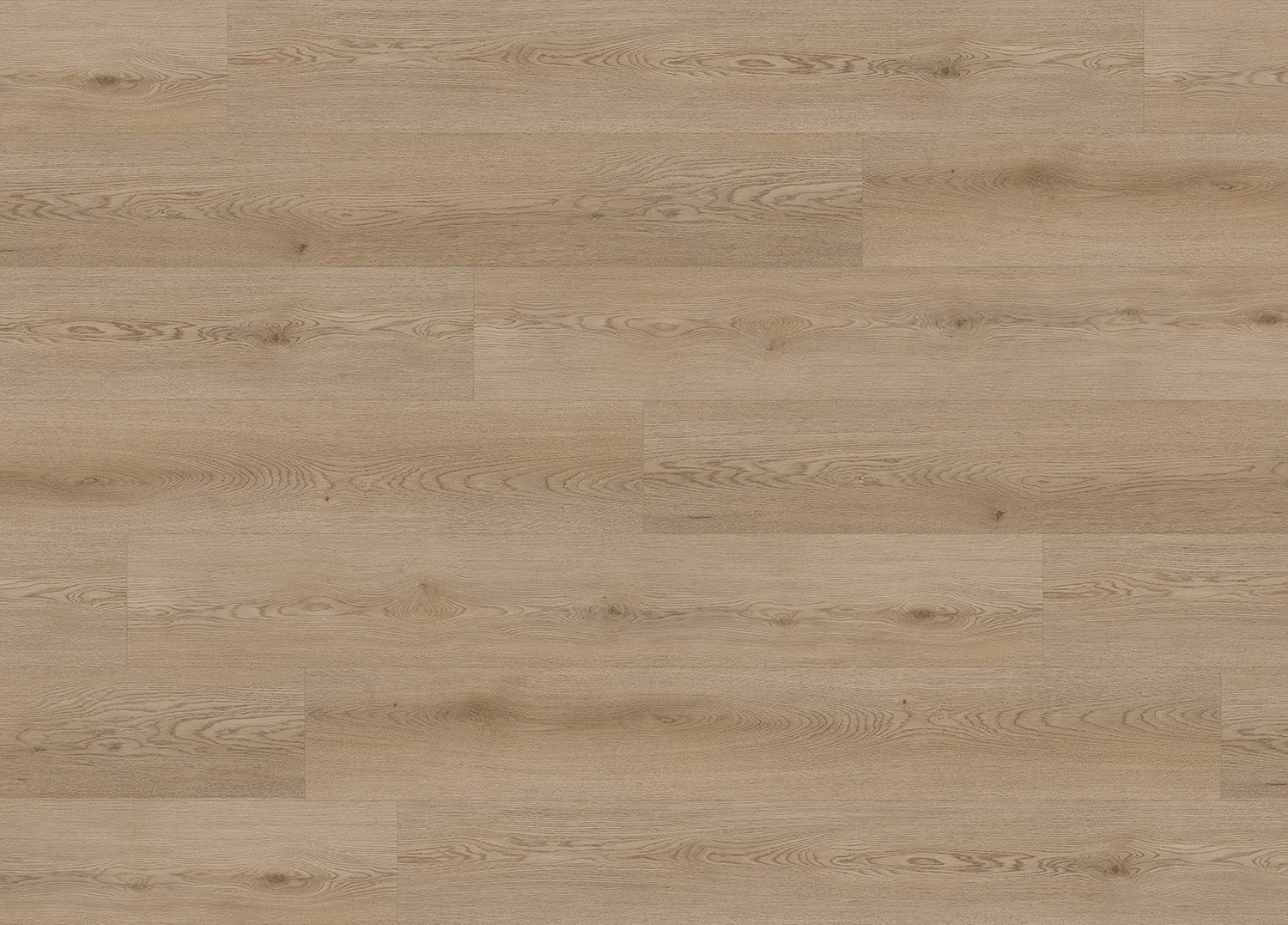 WOODLAND OAK